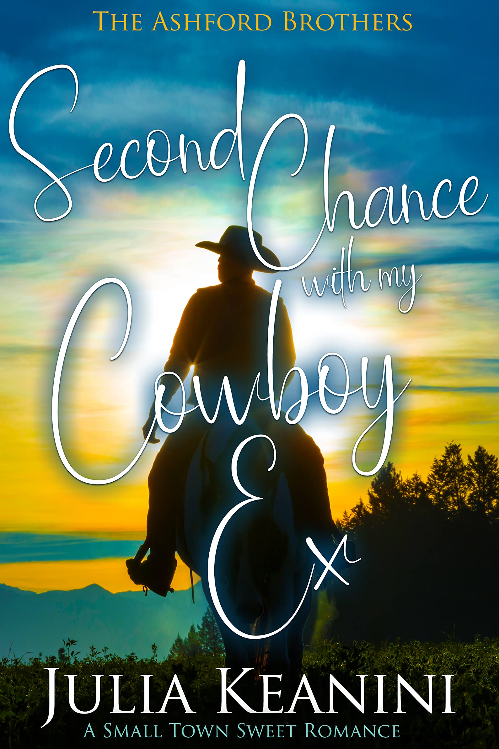 Second Chance with My Cowboy Ex book cover