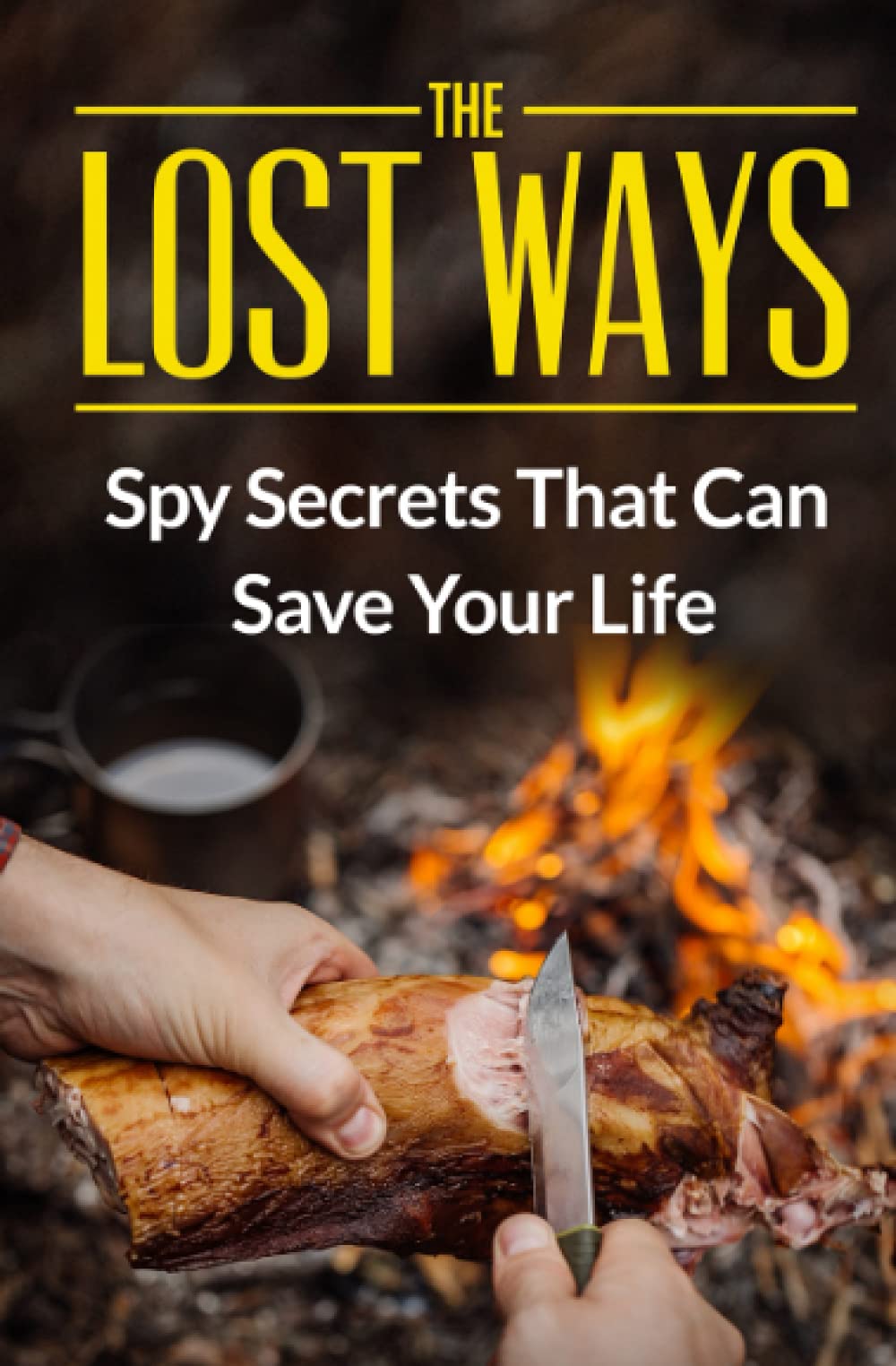 the-lost-ways-spy-secrets-that-can-save-your-life-by-david-lynam
