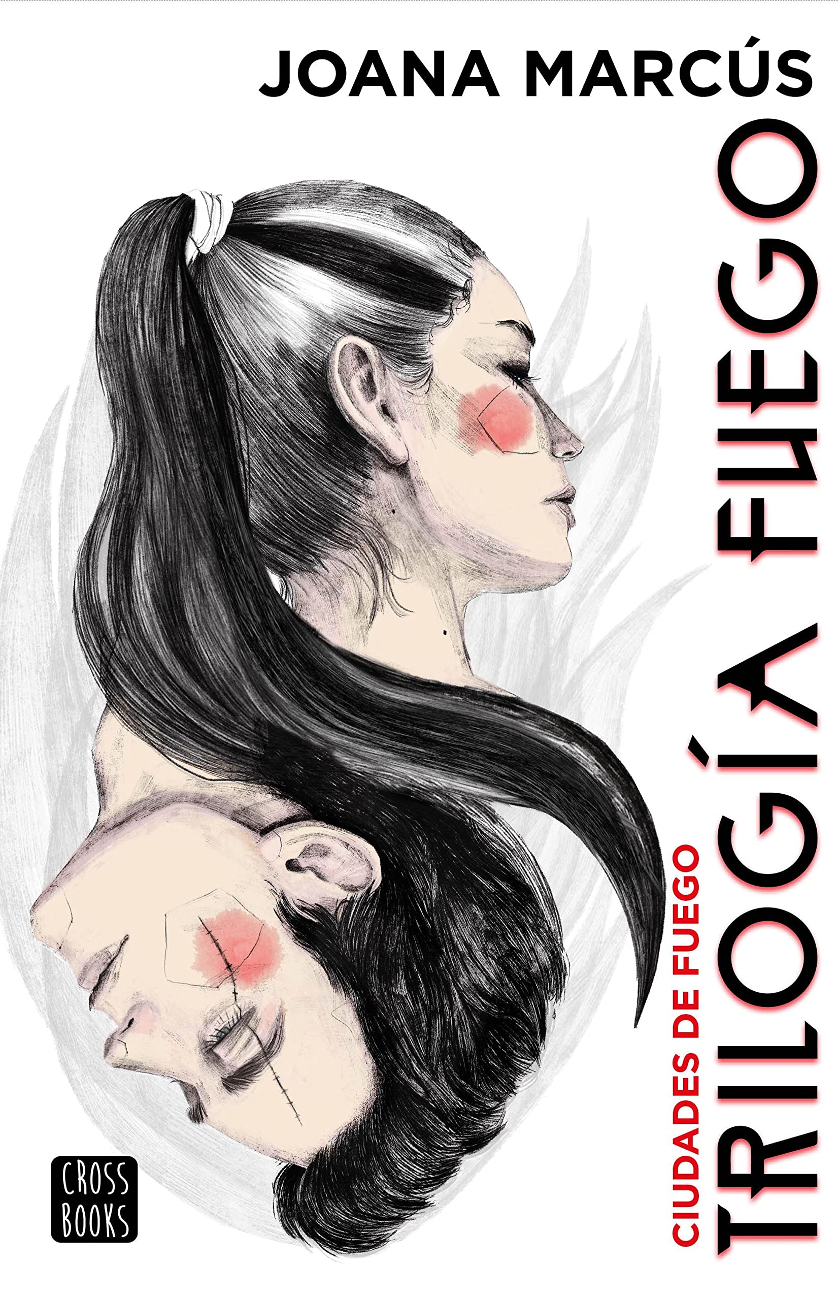 Ciudades de fuego (Fuego #3)