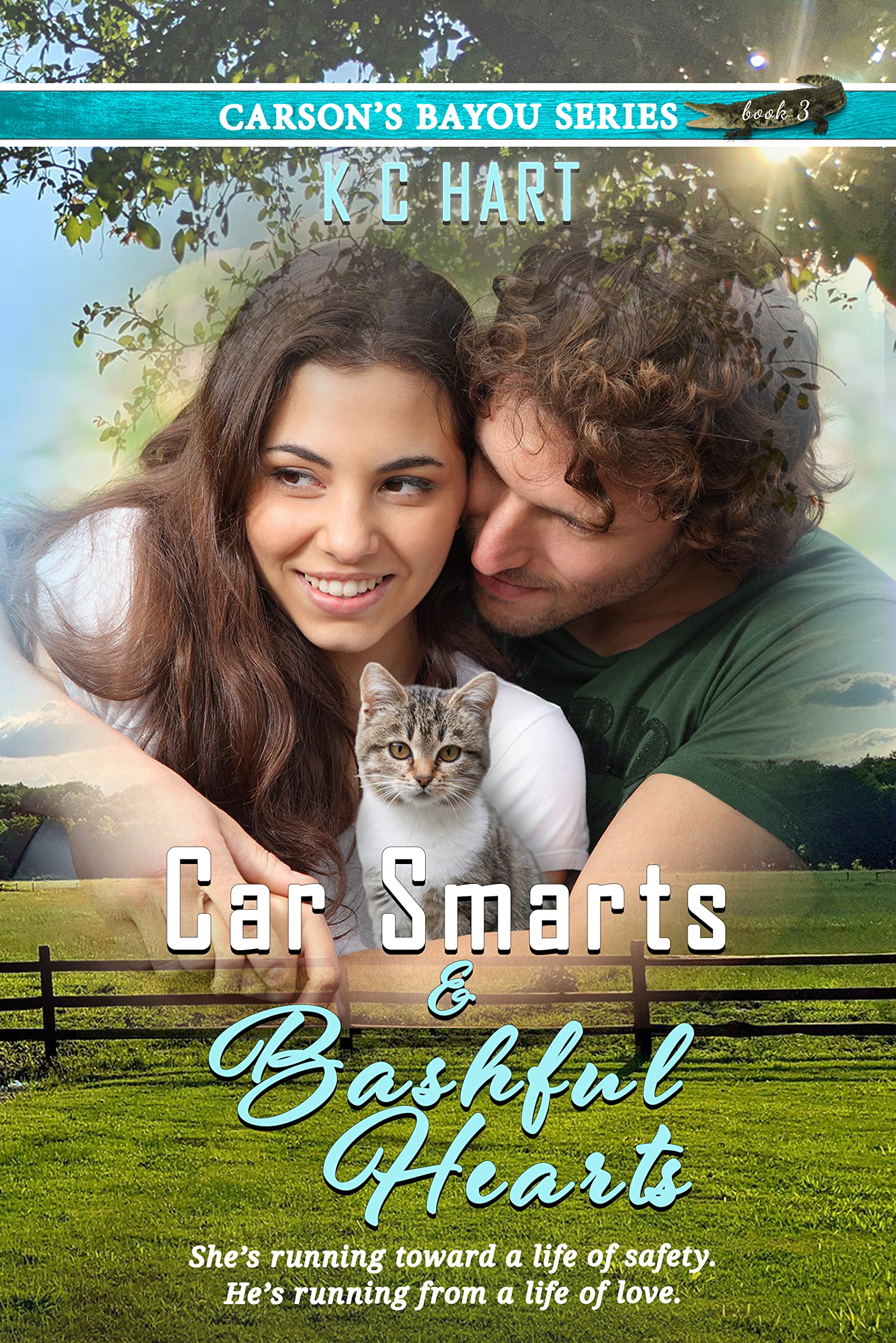Car Smarts and Bashful Hearts book cover