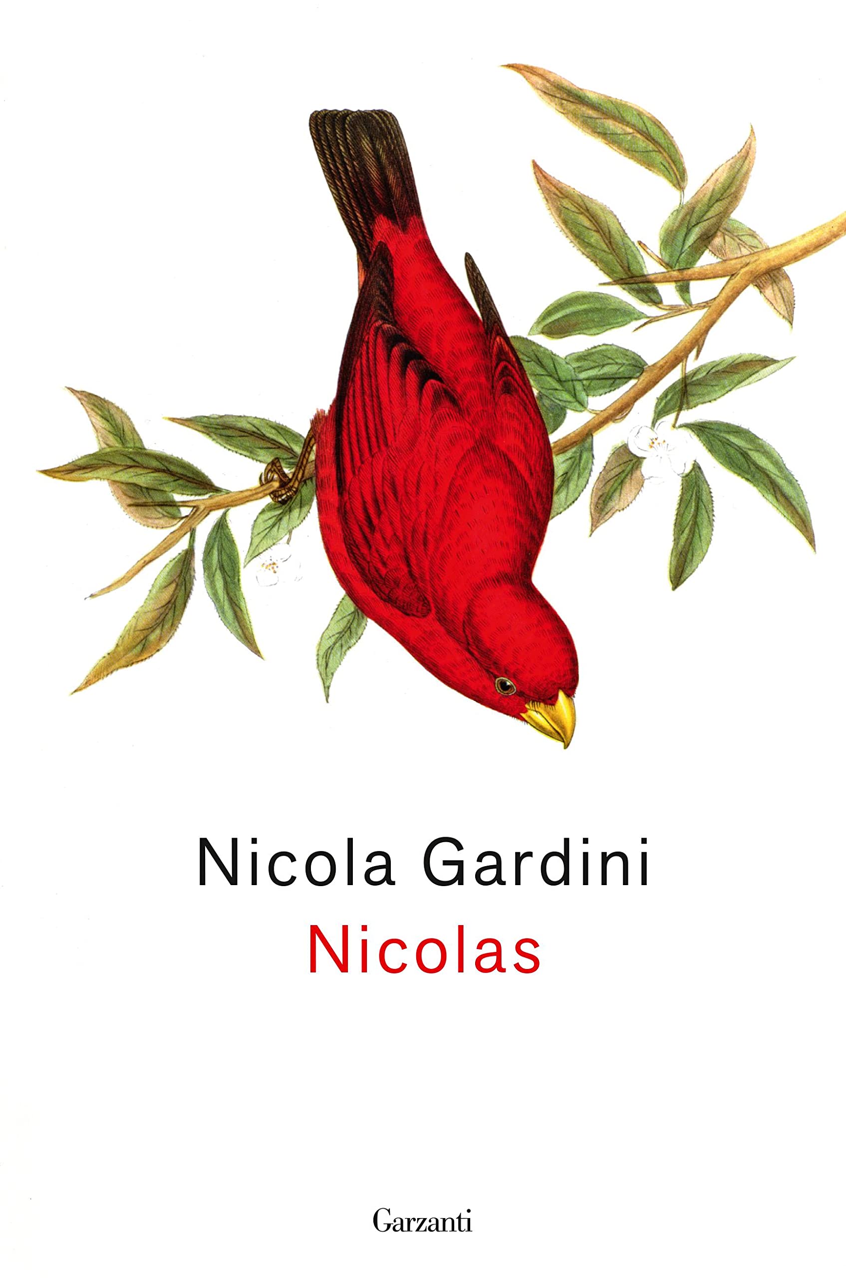 Nicolas book cover