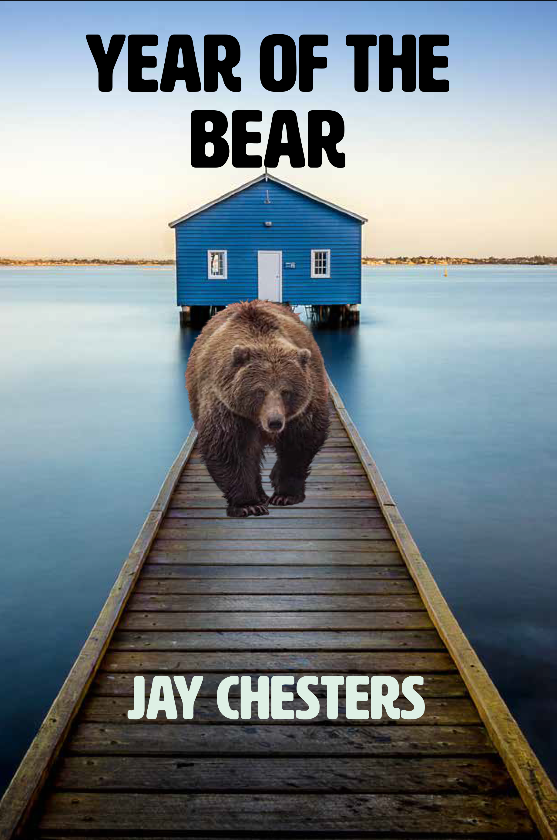 Year of the Bear by Jay Chesters Goodreads
