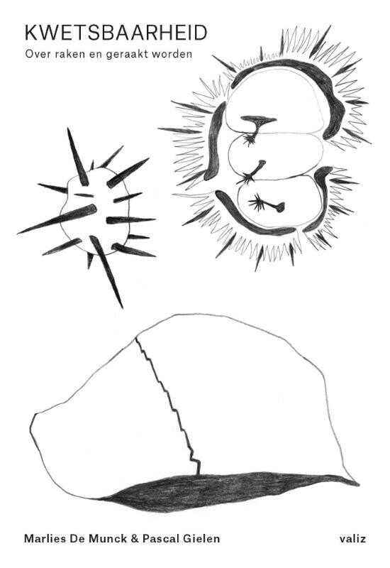 Kwetsbaarheid book cover