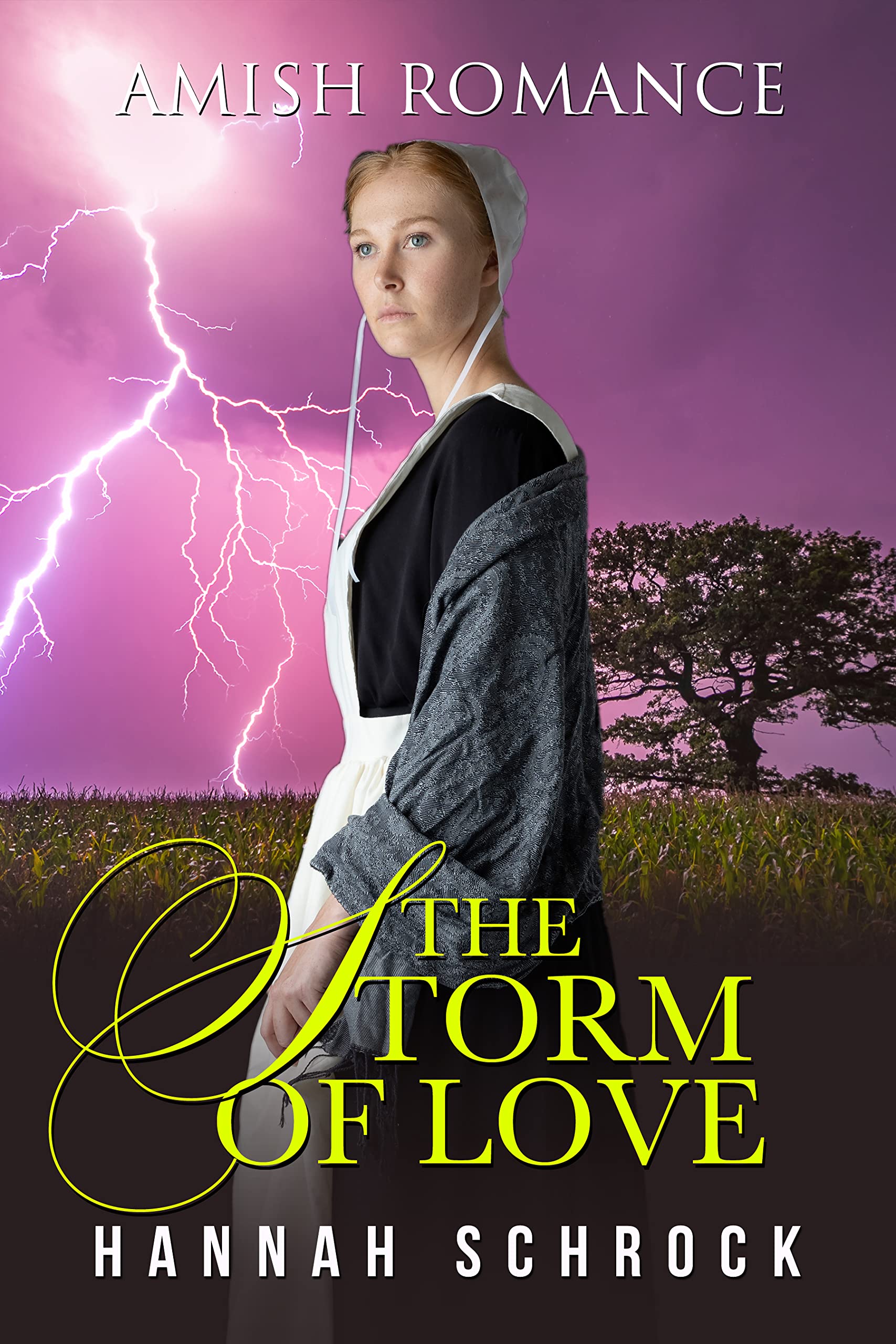 The Storm of Love book cover