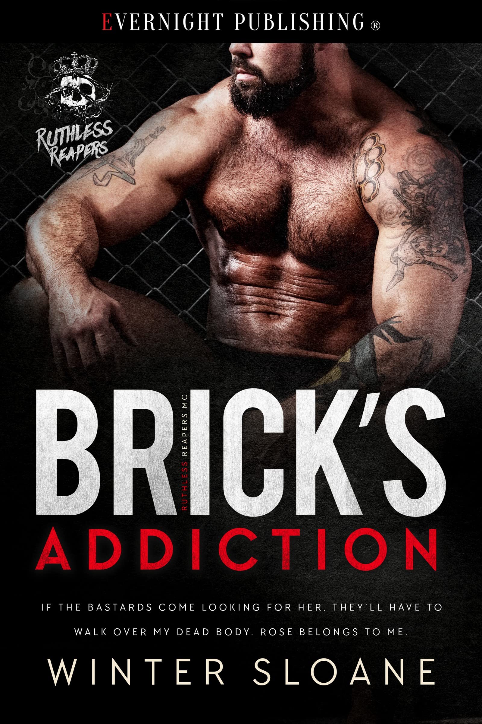 Brick's Addiction book cover