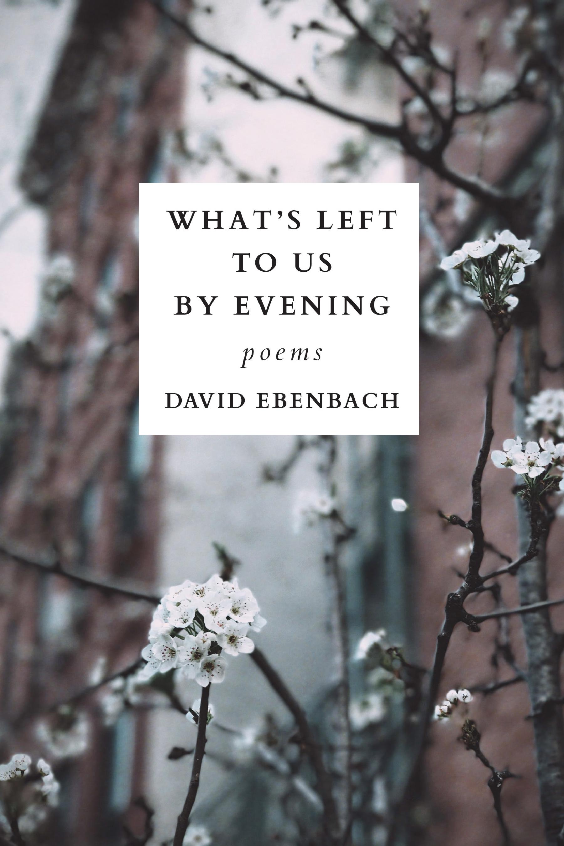 What's Left to Us by Evening book cover