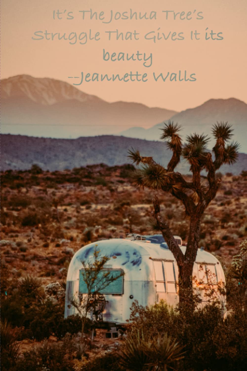 "Its The Joshua Trees Struggle" Quote Joshua Tree National Park