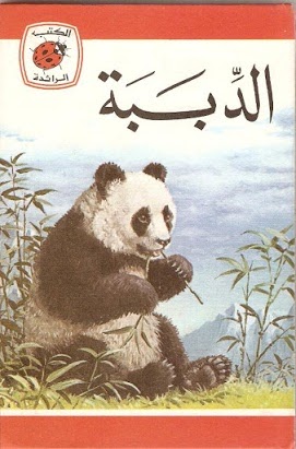 الدببة book cover
