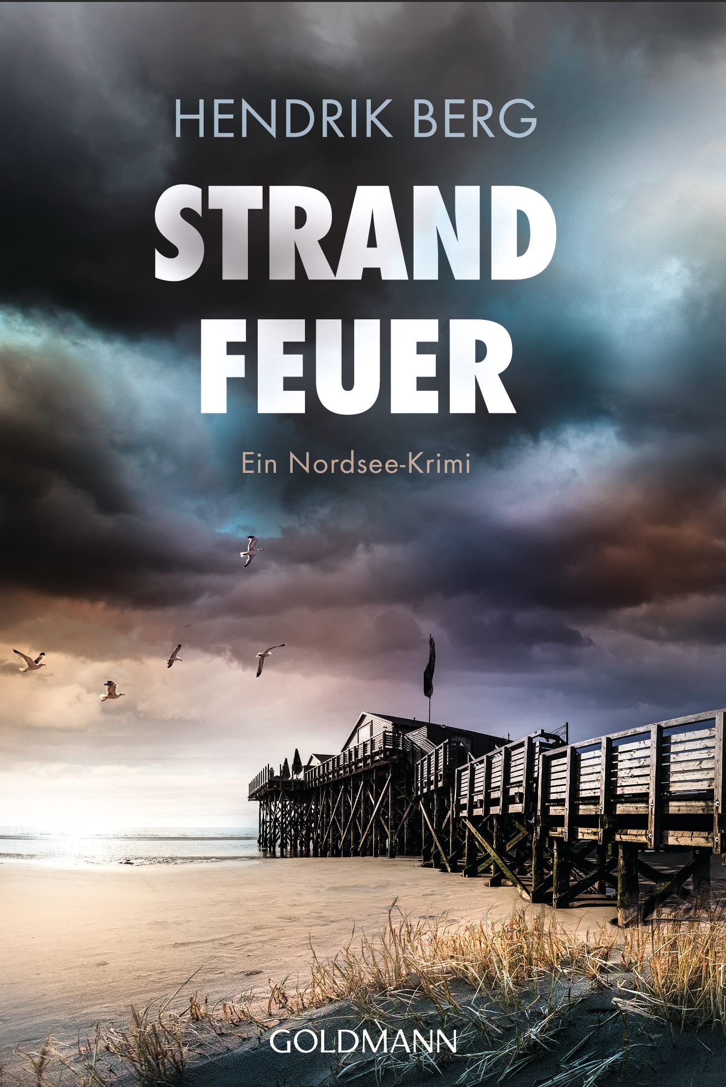 Strandfeuer: Ein Nordsee-Krimi (Ein Fall für Theo Krumme 8)