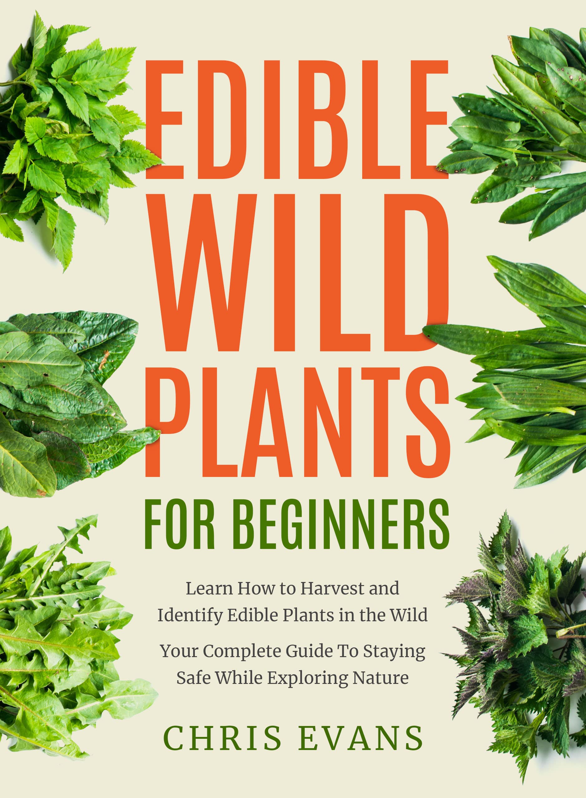 Edible Wild Plants for Beginners Learn How to Harvest and Identify
