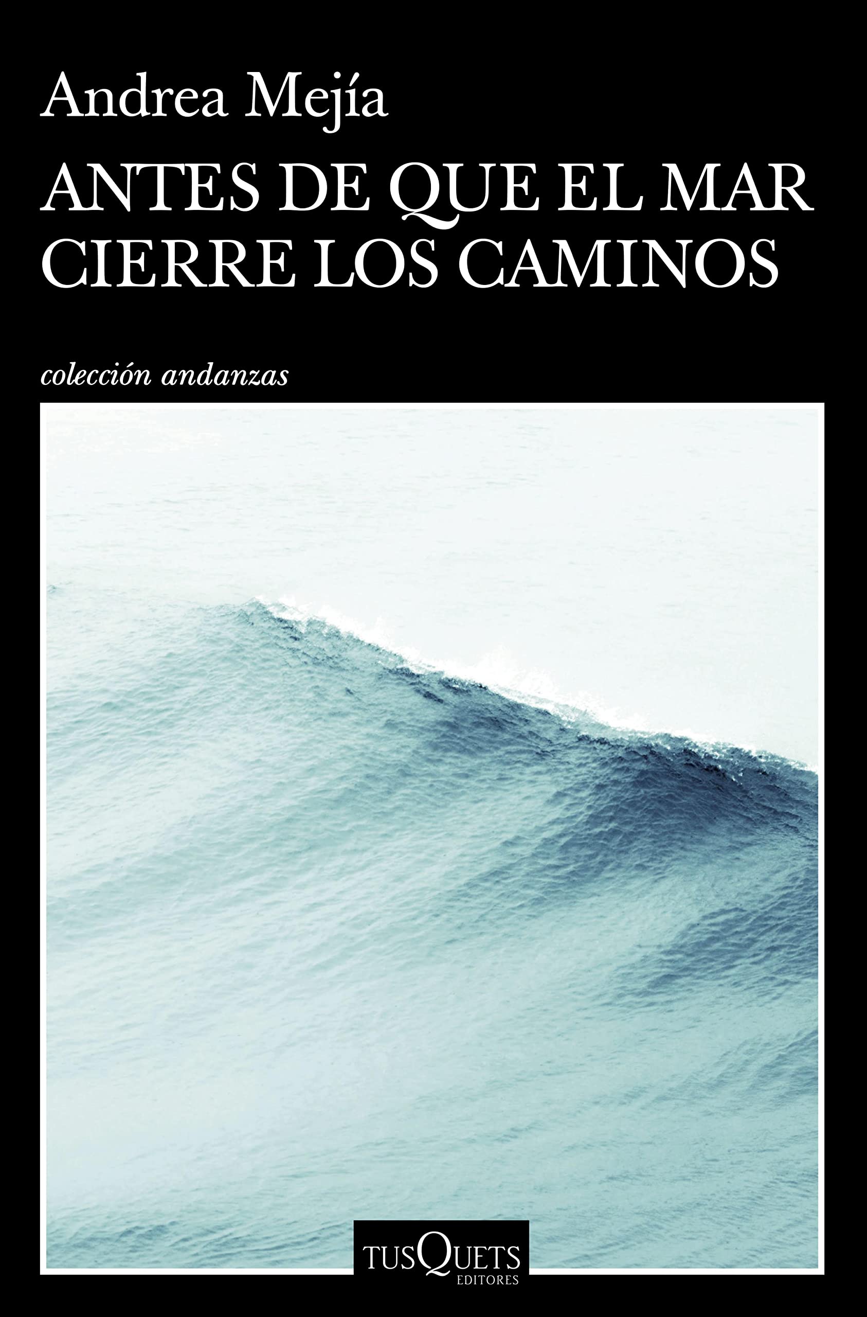 Antes de que el mar cierre los caminos book cover