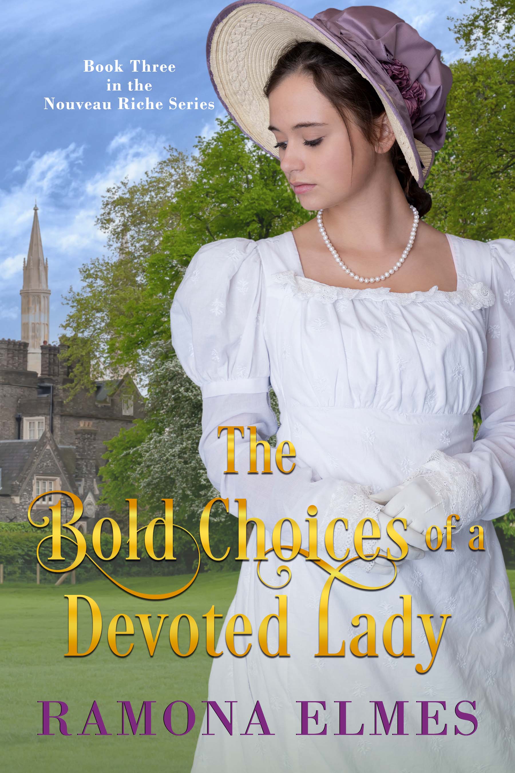 The Nouveau Riche book cover 3
