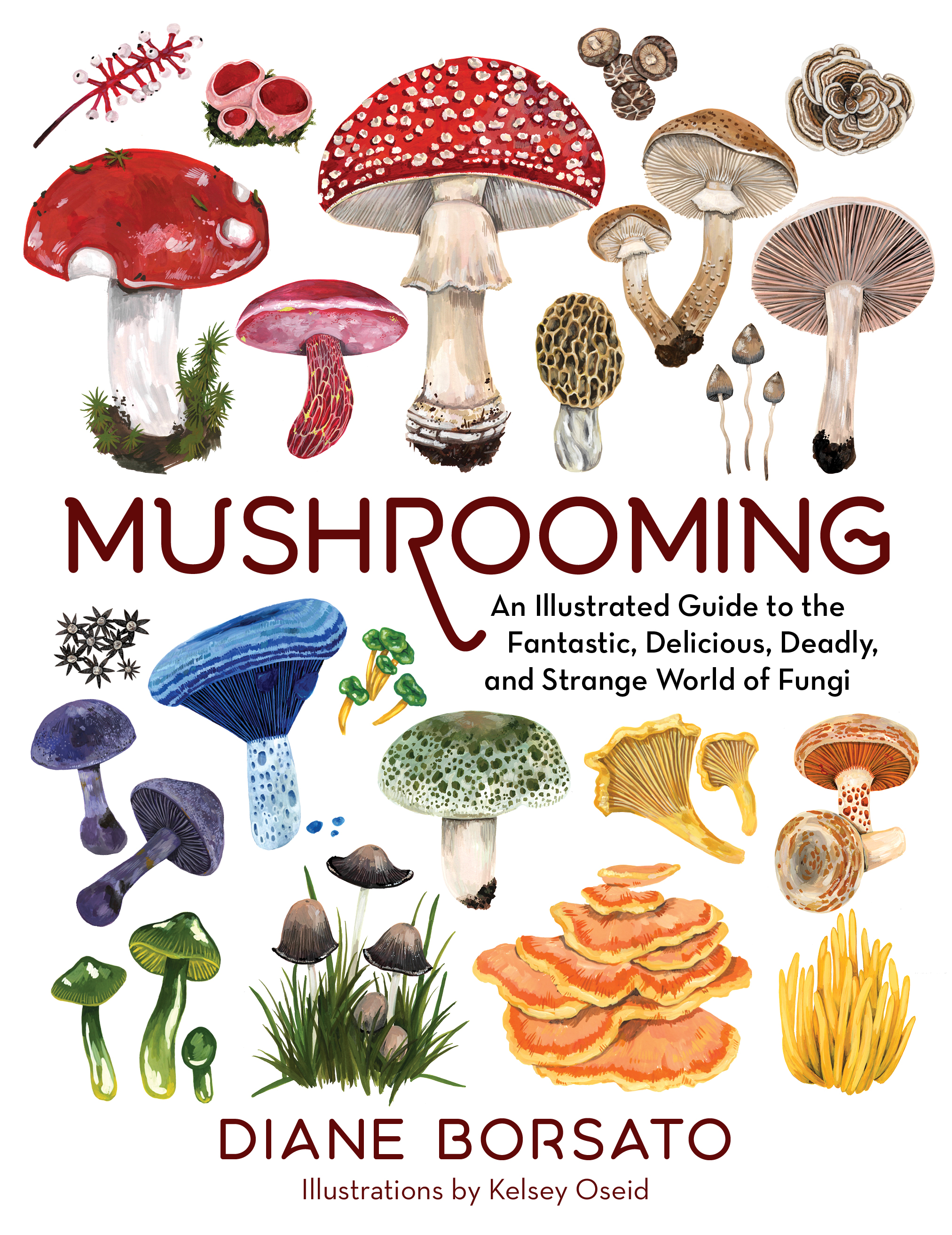 Mushrooming: An Illustrated Guide to the Fantastic, Delicious, Deadly, and Strange World of Fungi