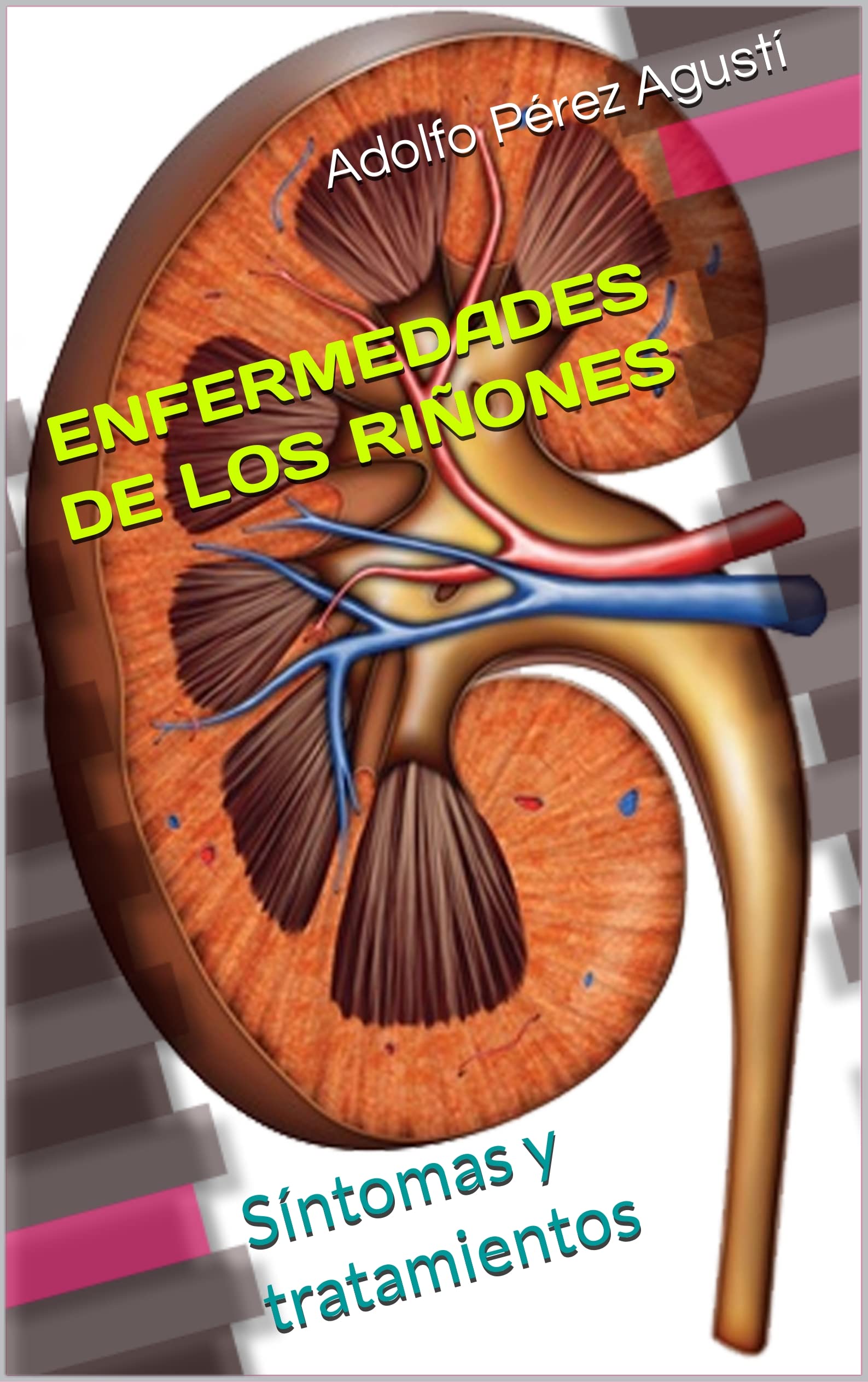 ENFERMEDADES DE LOS RIÑONES: Síntomas y tratamientos by Adolfo Pérez ...