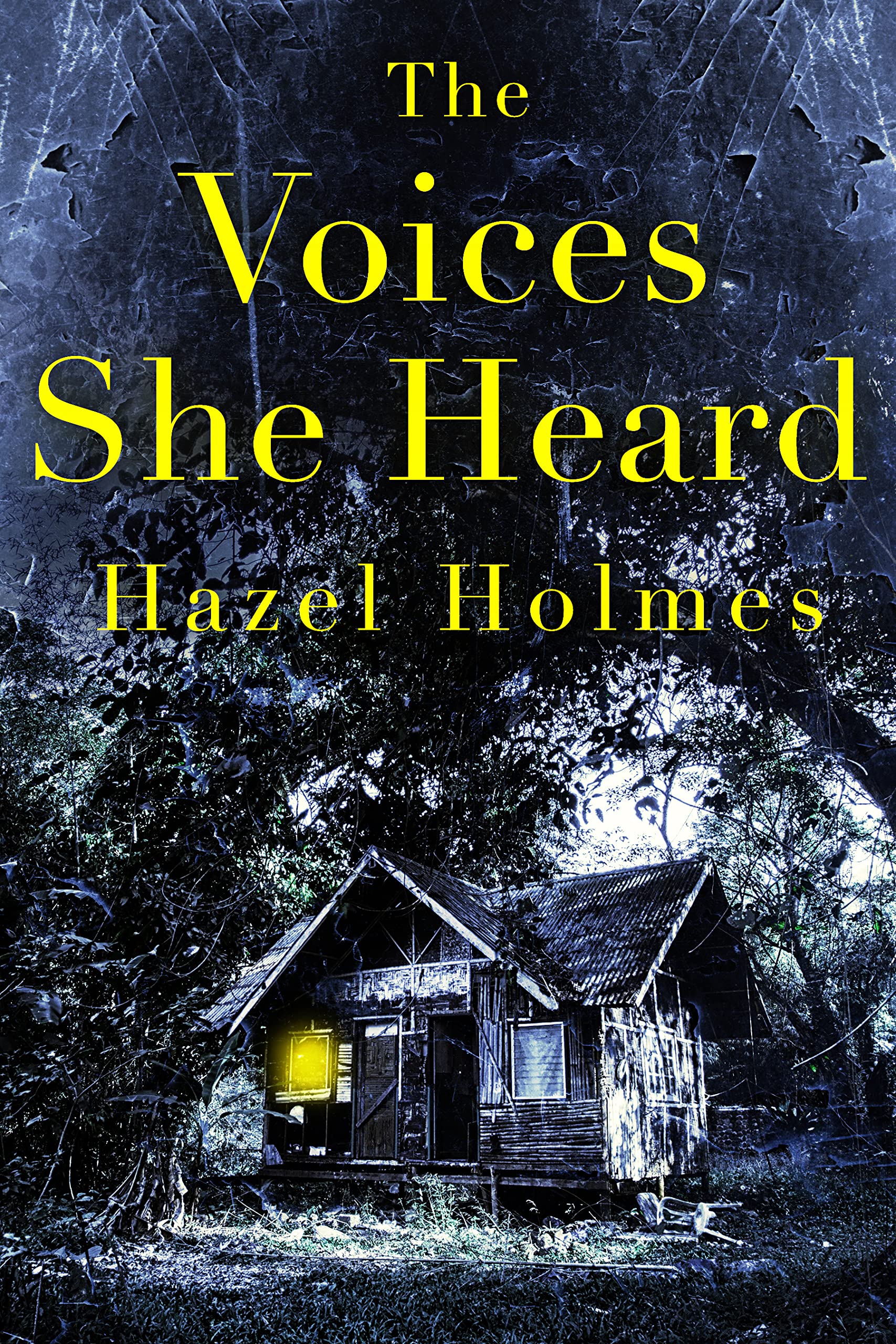 The Voices She Heard book cover