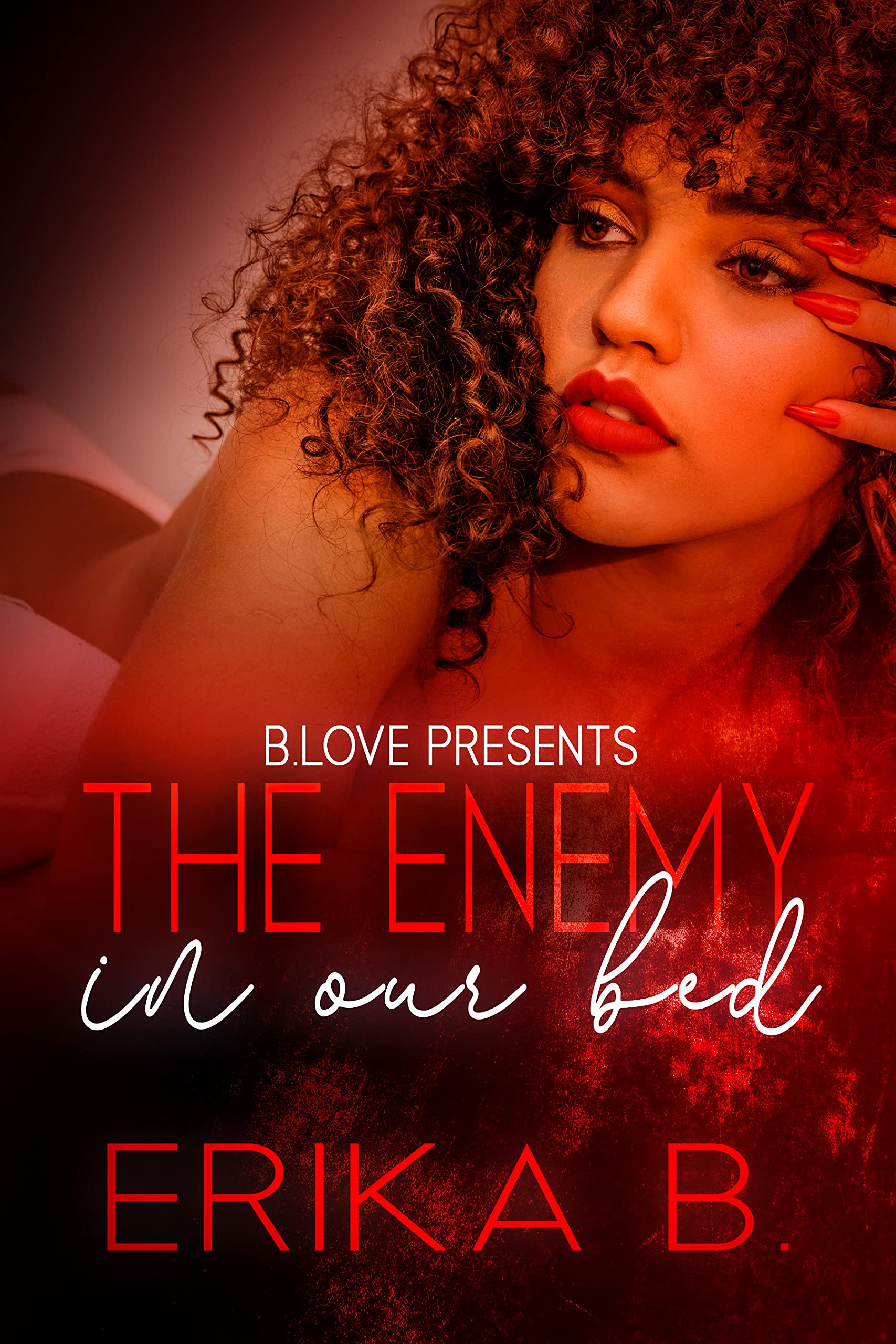 The Enemy in Our Bed book cover