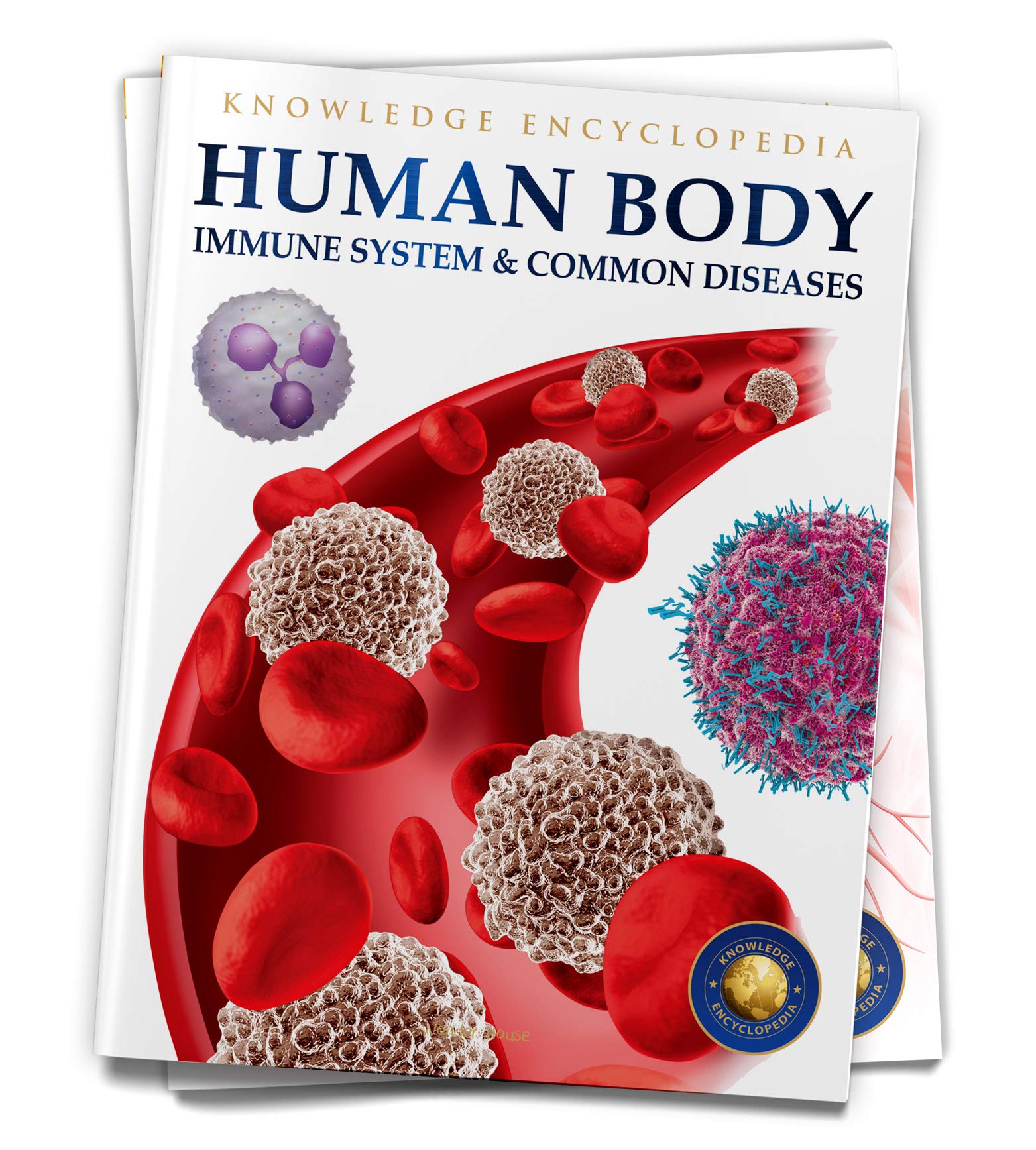 Human Body: Immune System And Common Diseases by Wonder House Books ...