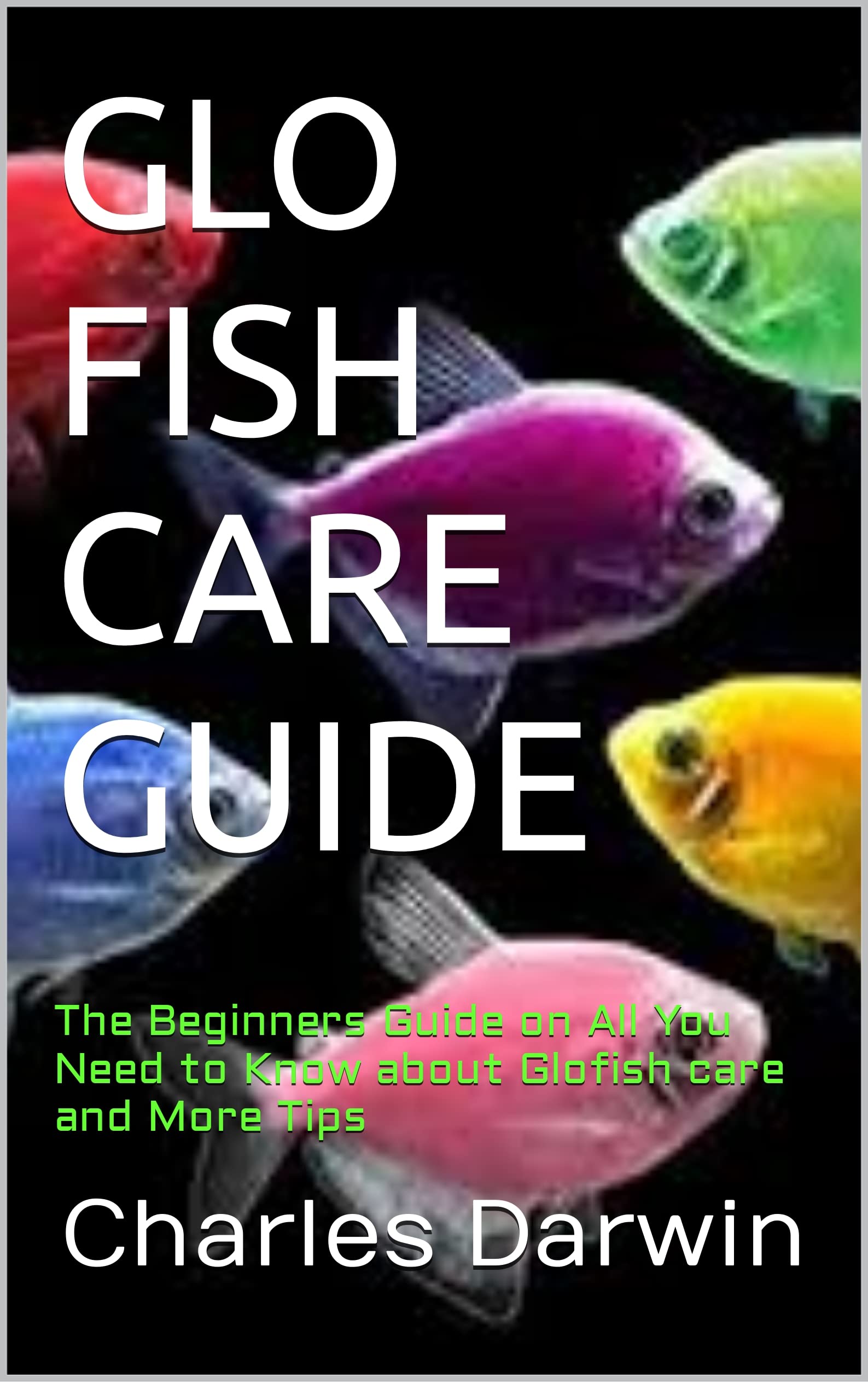 GLO FISH CARE GUIDE The Beginners Guide on All You Need to Know about