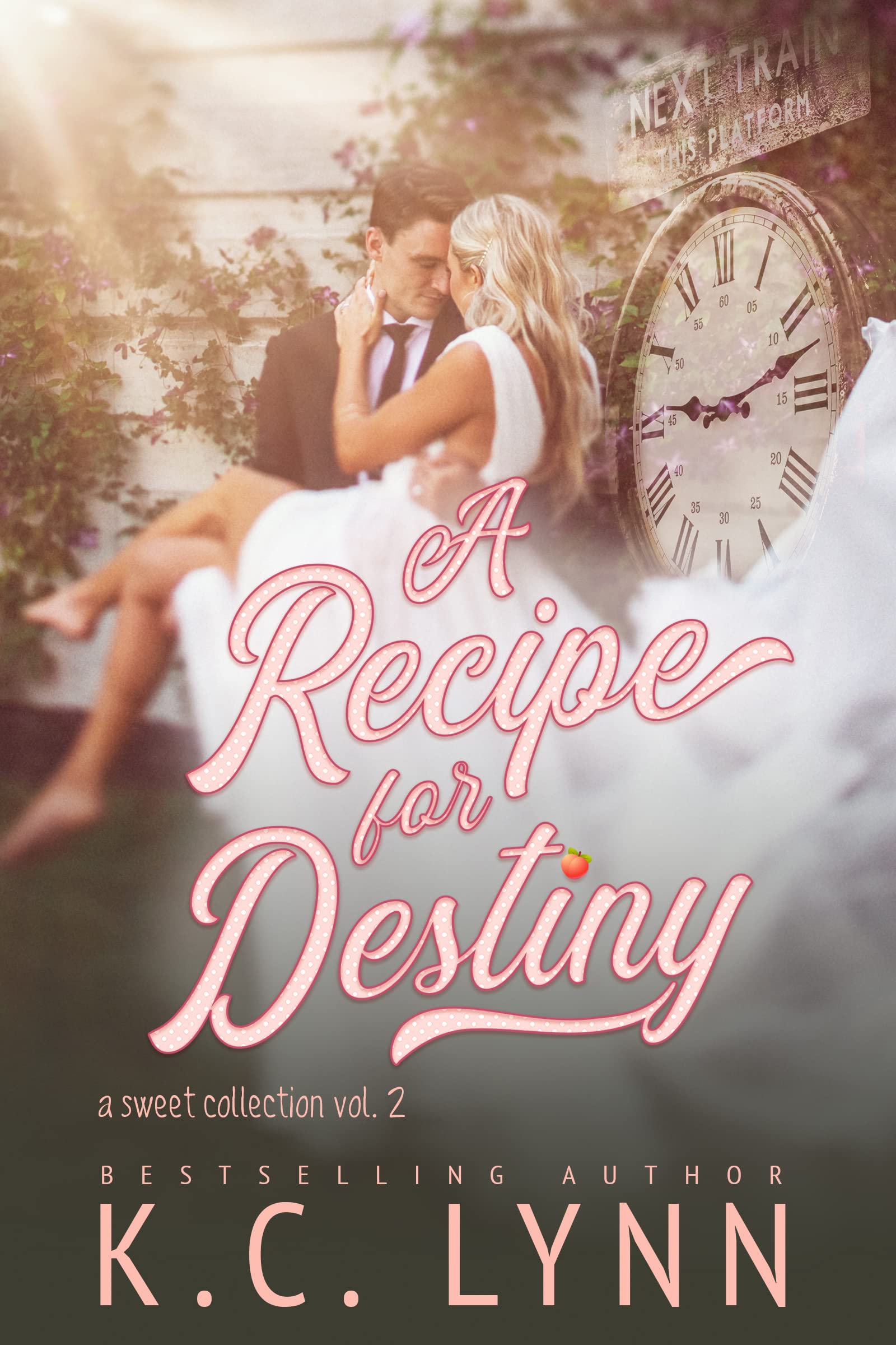 A Recipe for Destiny book cover