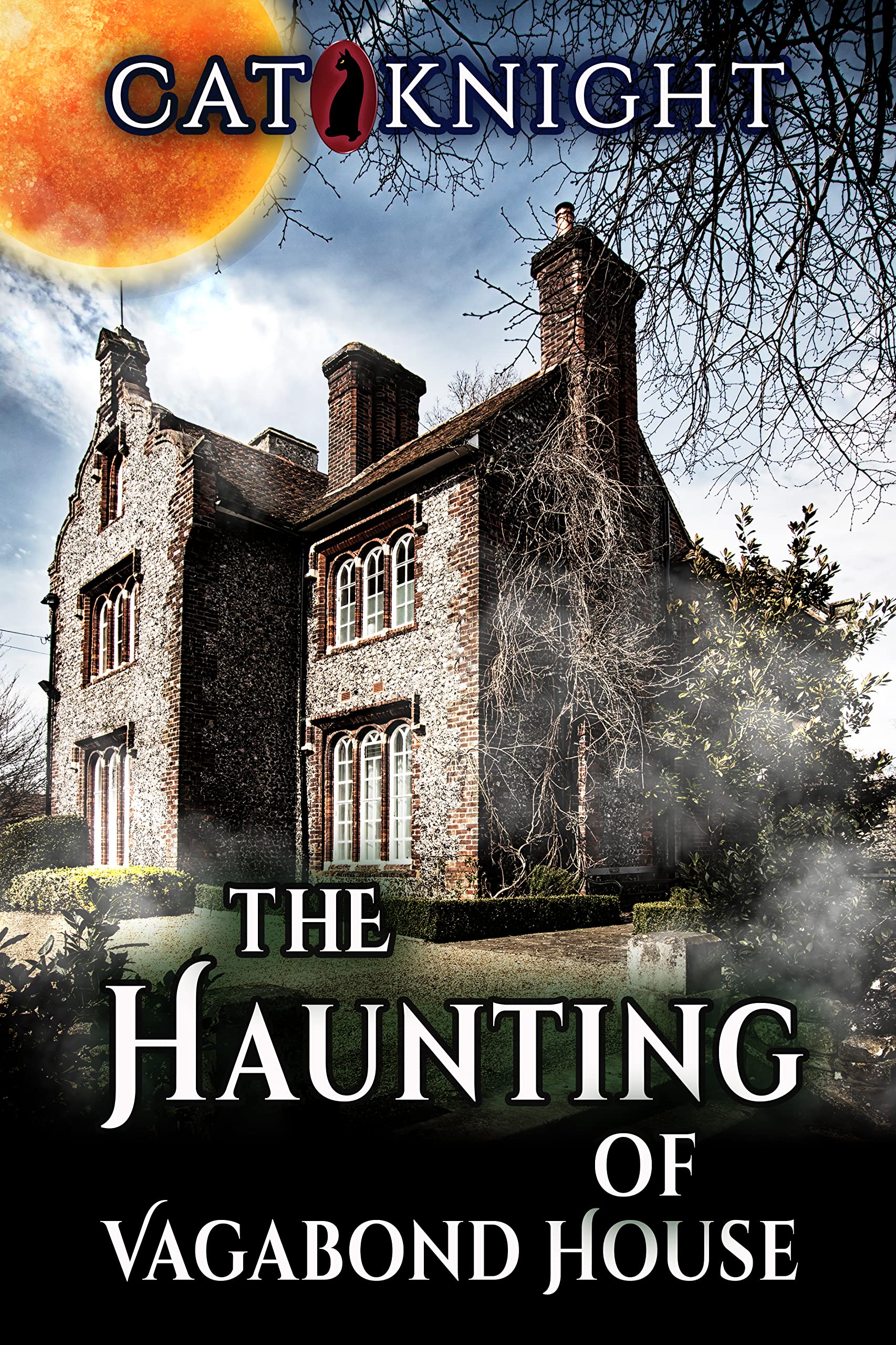 The Haunting of Vagabond House