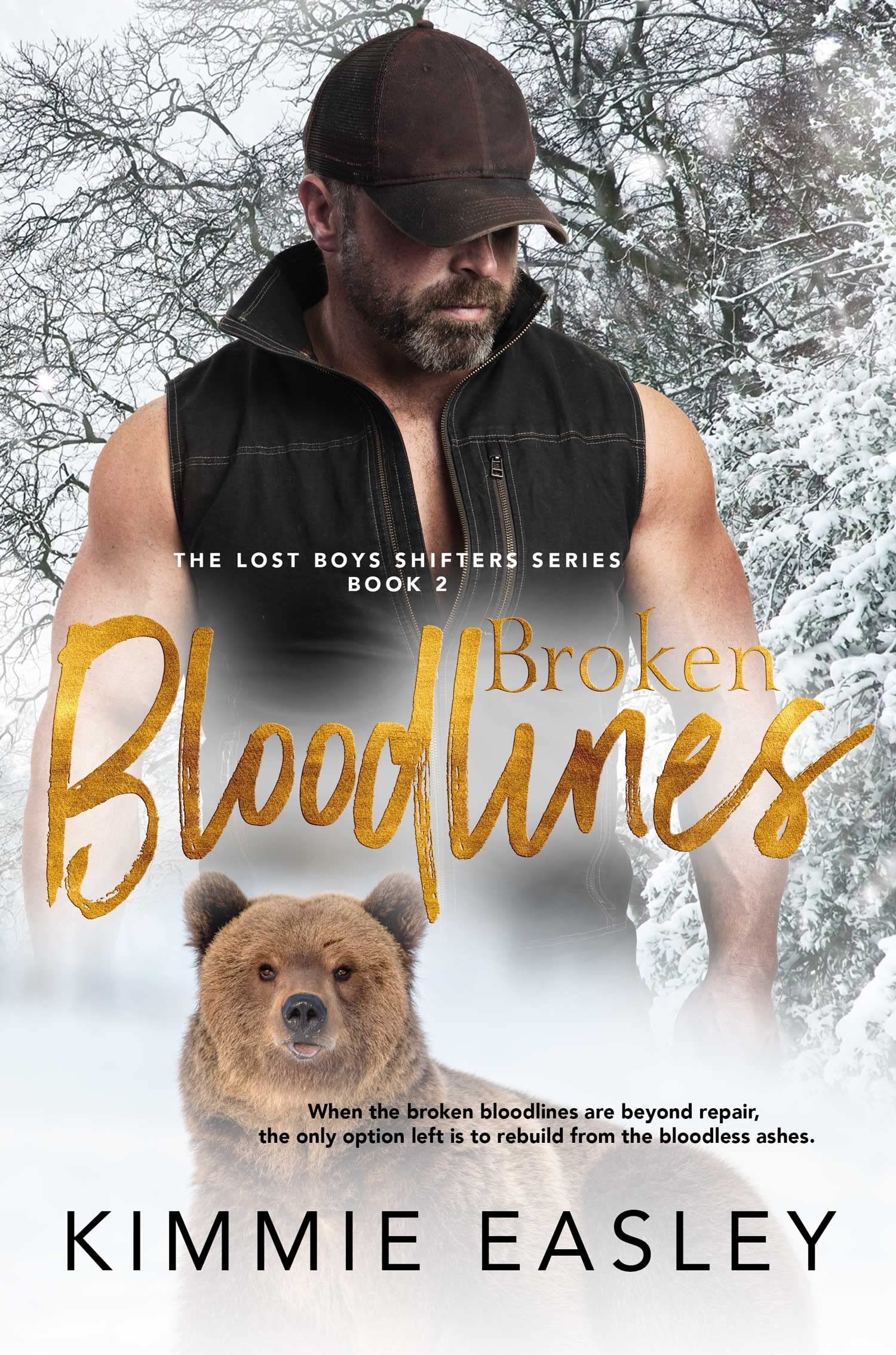 Lost Boys Shifters book cover 2