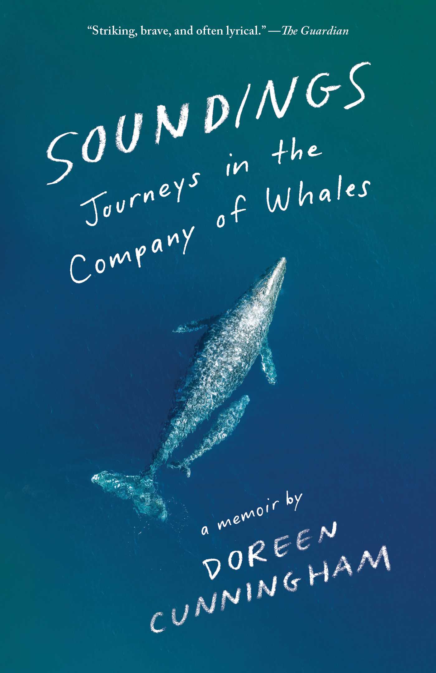 Soundings: Journeys in the Company of Whales