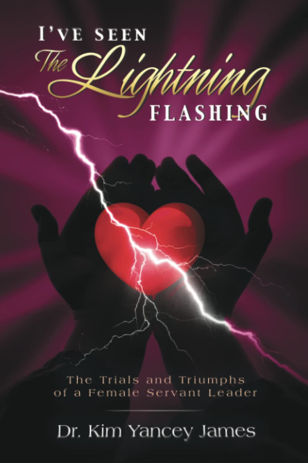 I’ve Seen The Lightning Flashing by Dr. Kim Yancey James Goodreads
