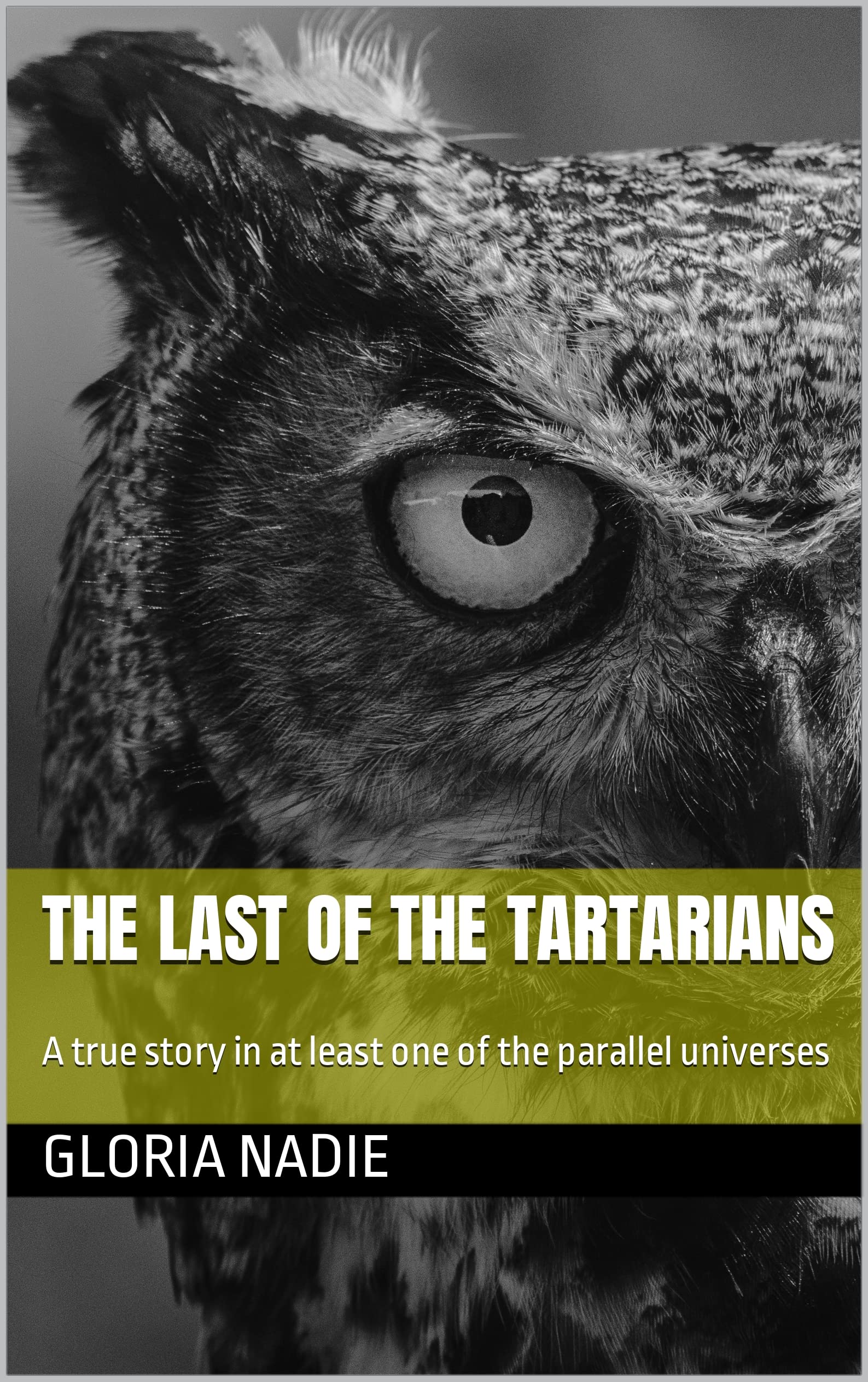 The Last Of The Tartarians: A true story in at least one of the parallel universes