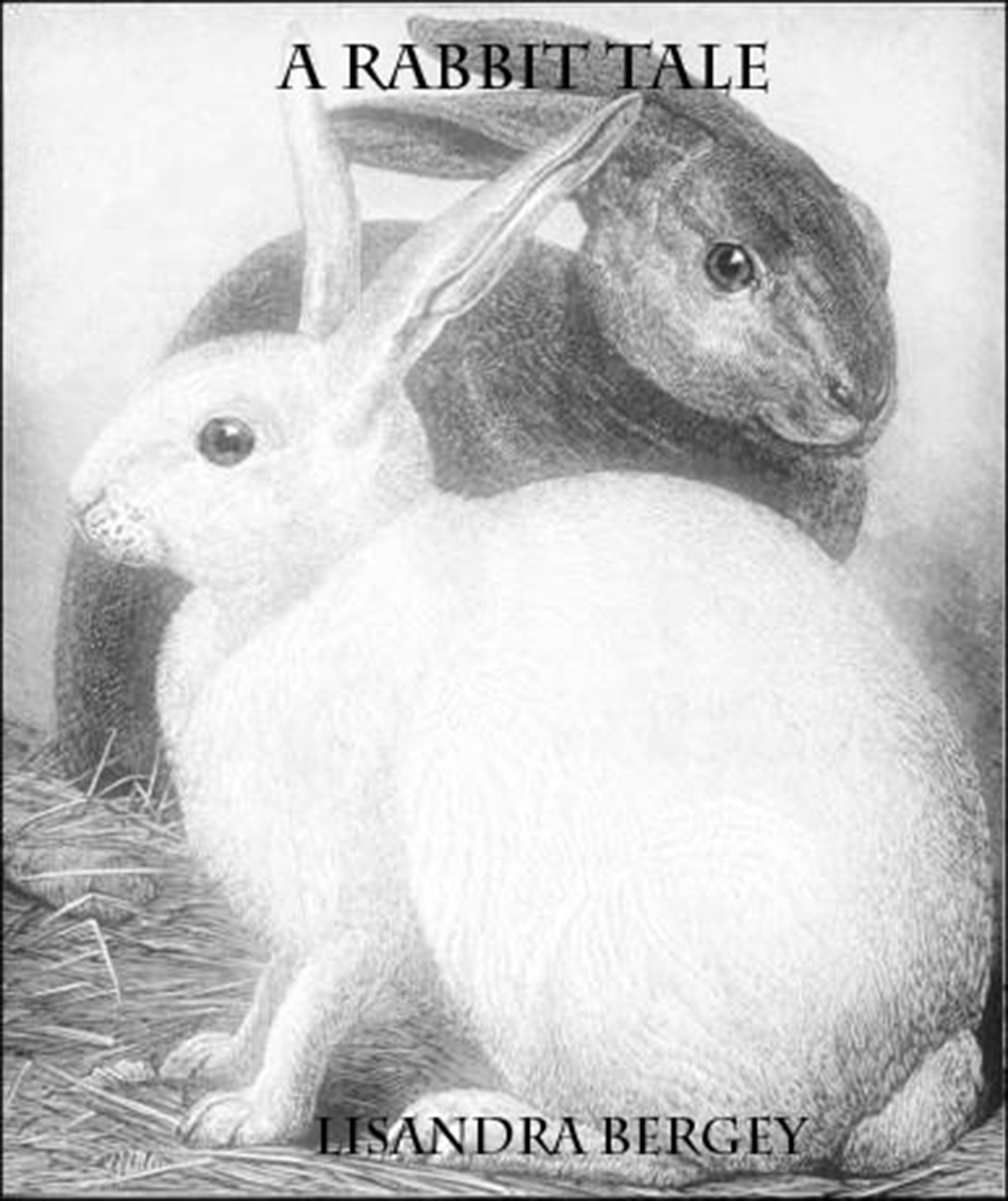 A Rabbit Tale by Lisandra Bergey | Goodreads