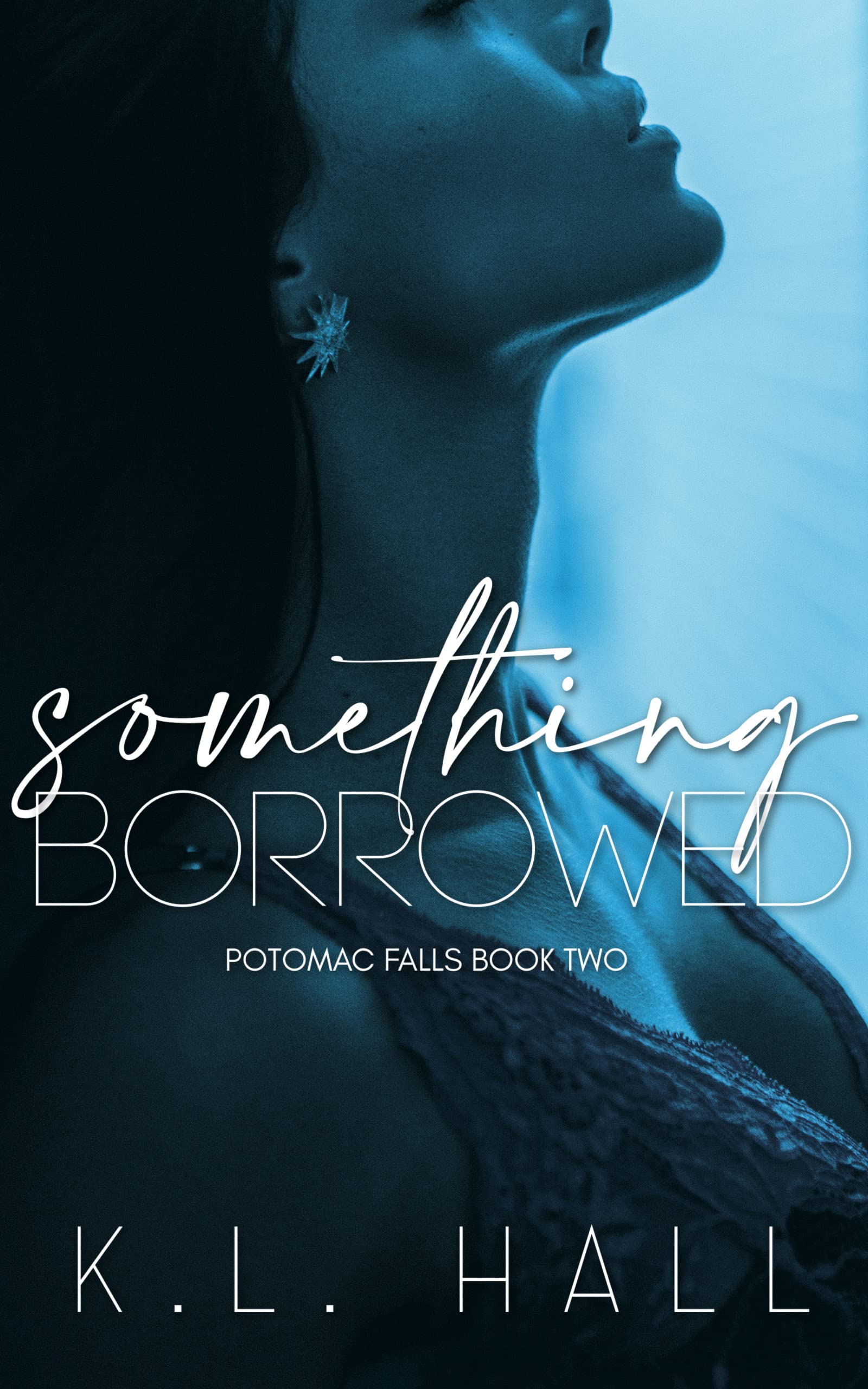 Something Borrowed book cover