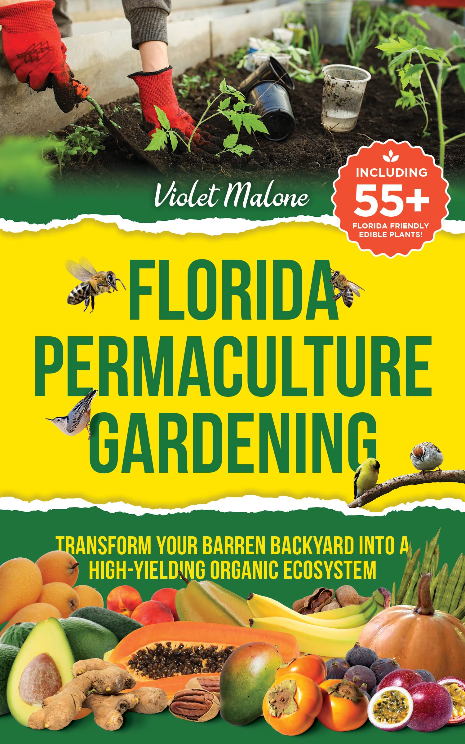 Florida Permaculture Gardening: Transform your Barren Backyard into a High Yielding Organic Ecosystem