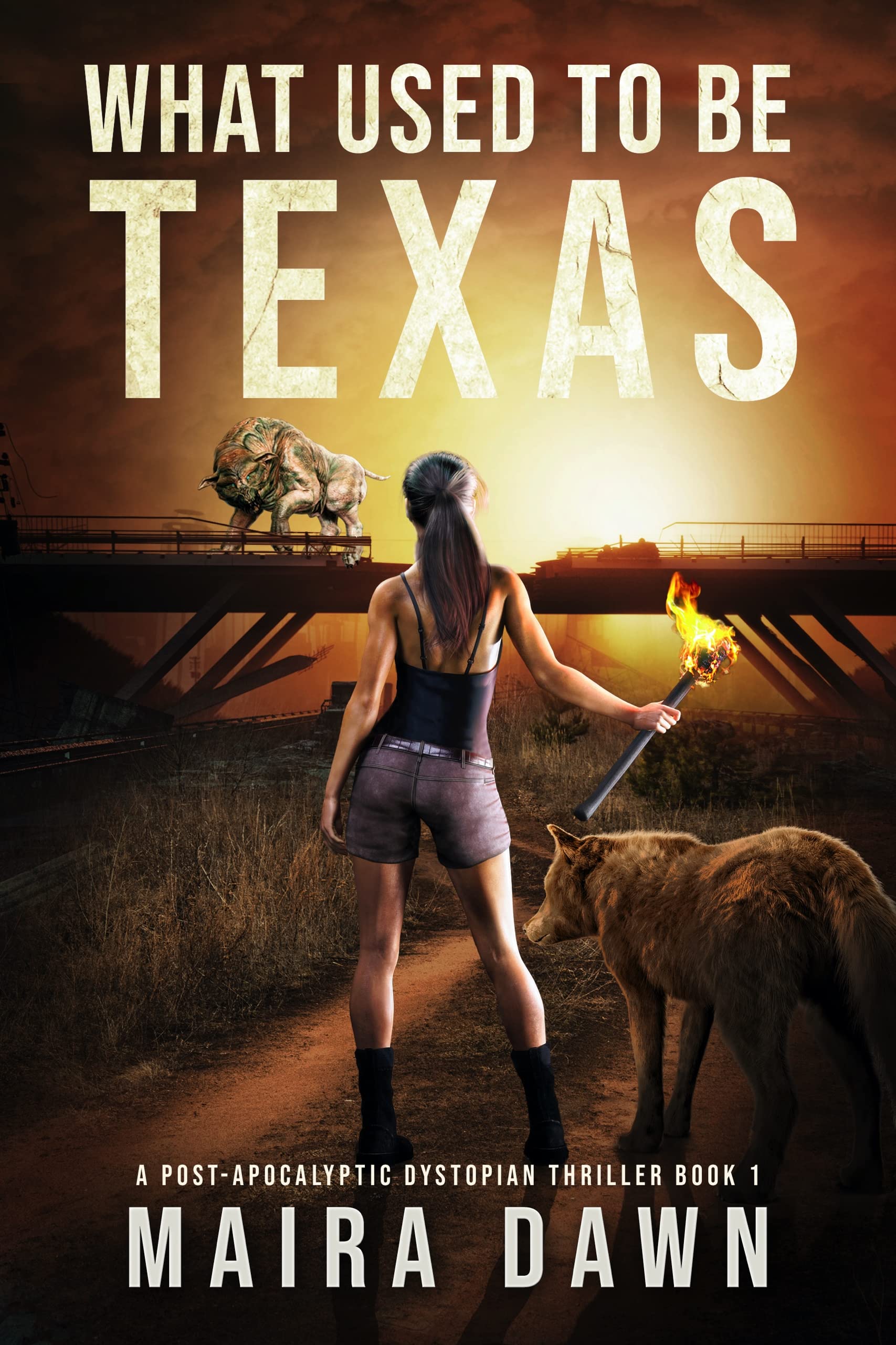 What Used to be Texas