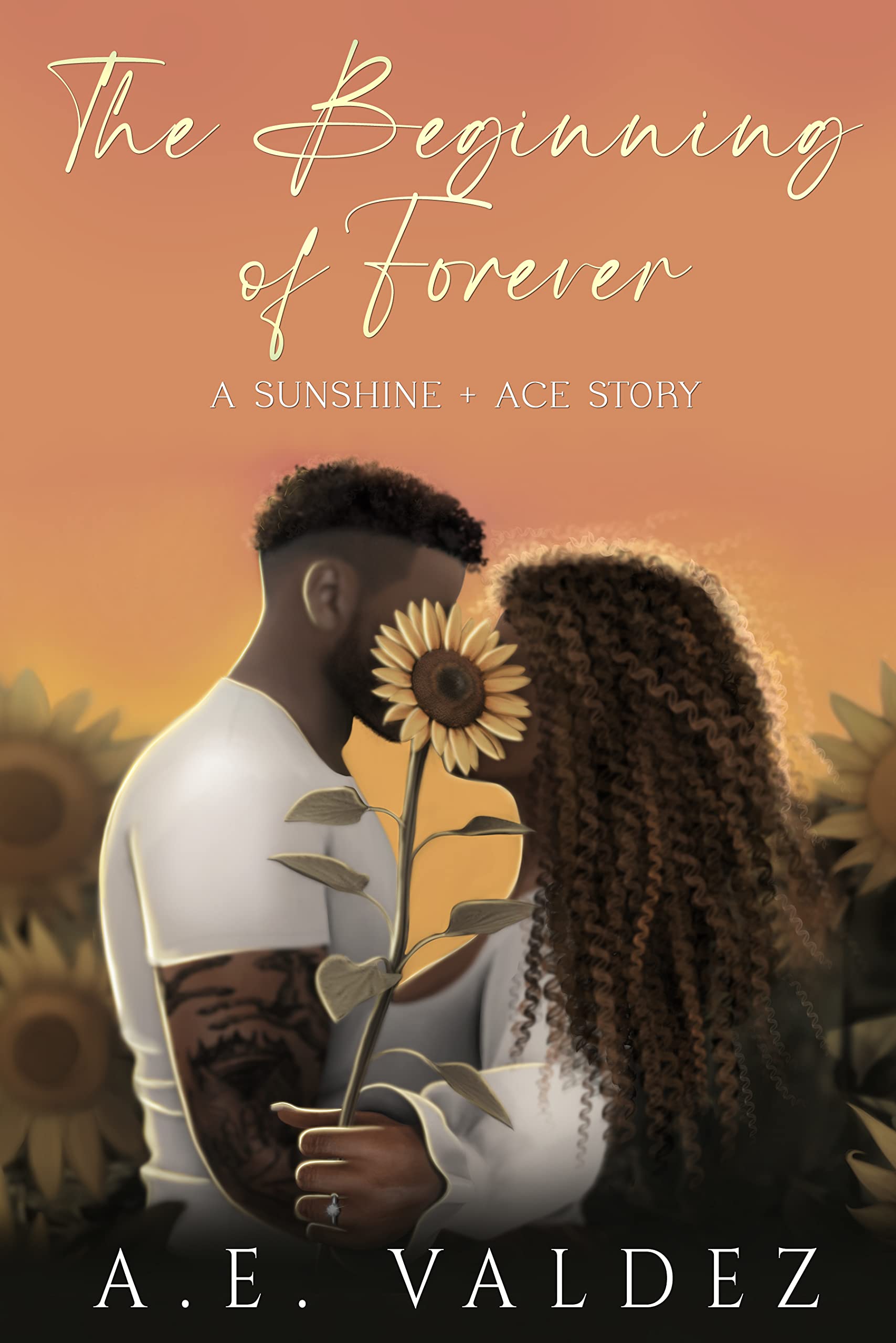 Sunshine + Ace book cover 2