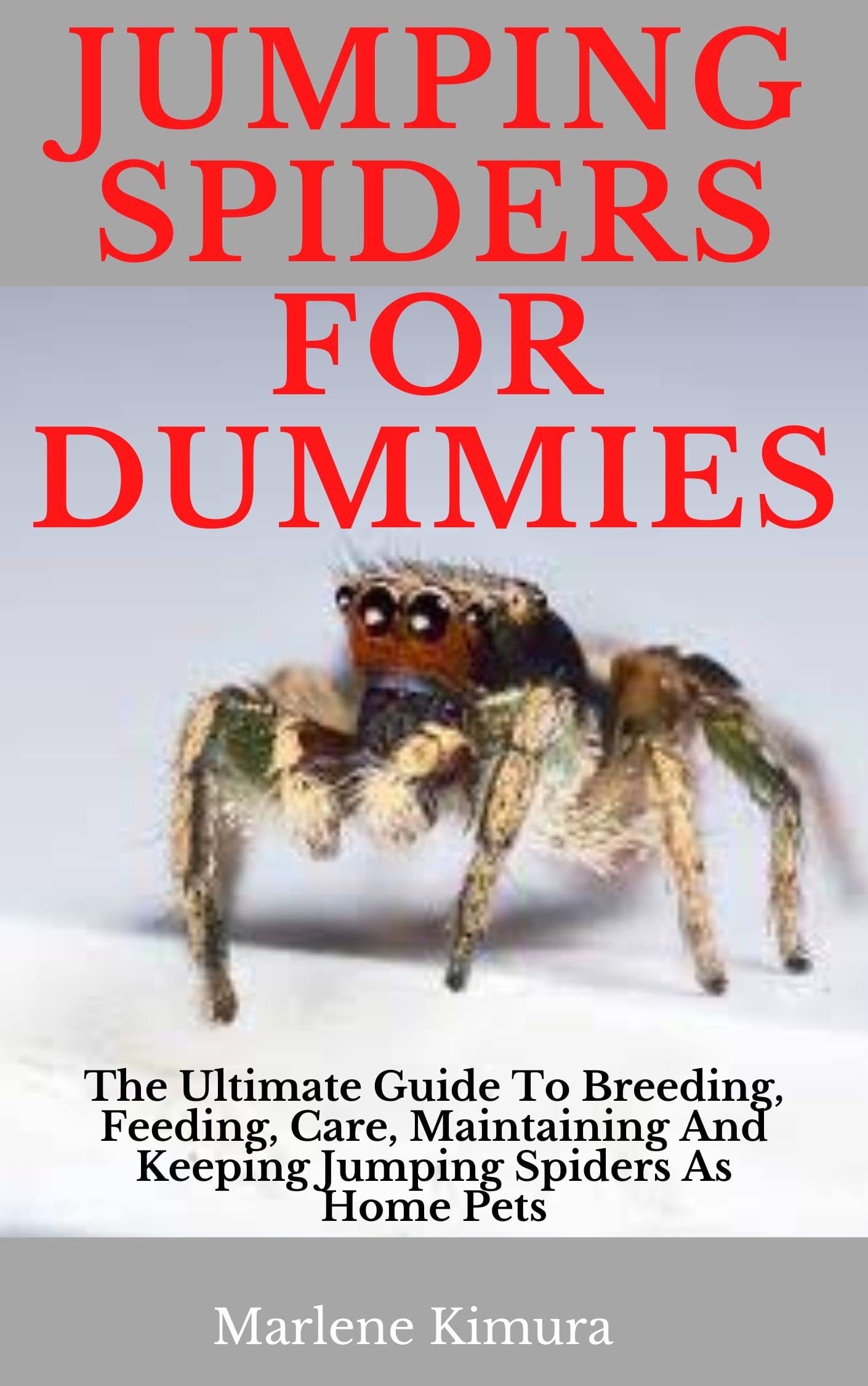 JUMPING SPIDERS FOR DUMMIES The Ultimate Guide To Breeding, Feeding