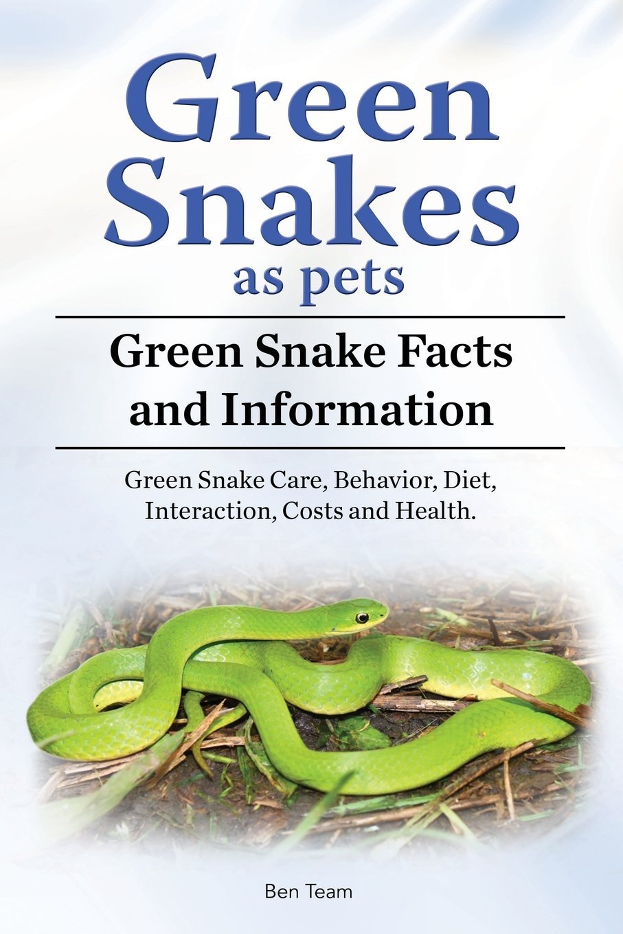 Green Snakes as pets. Green Snake Facts and Information. Green Snake