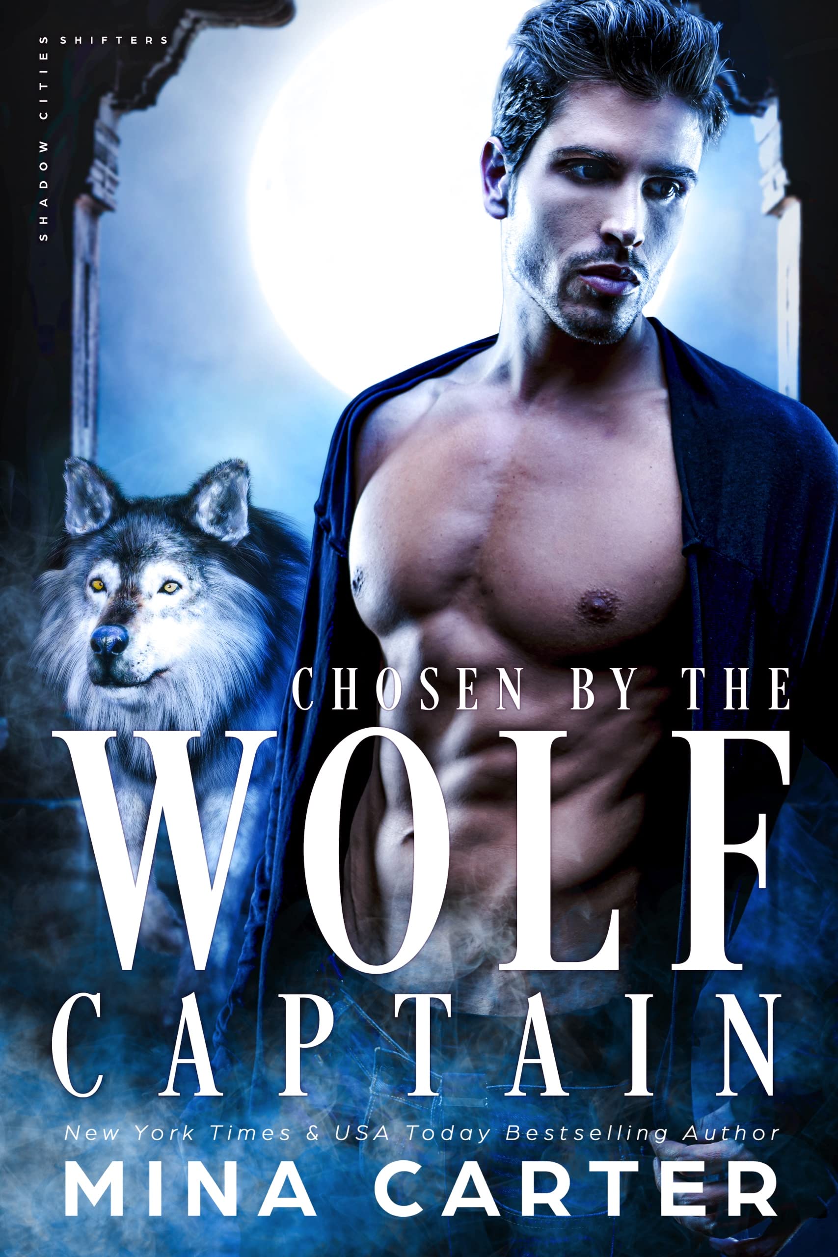 Chosen by the Wolf Captain book cover