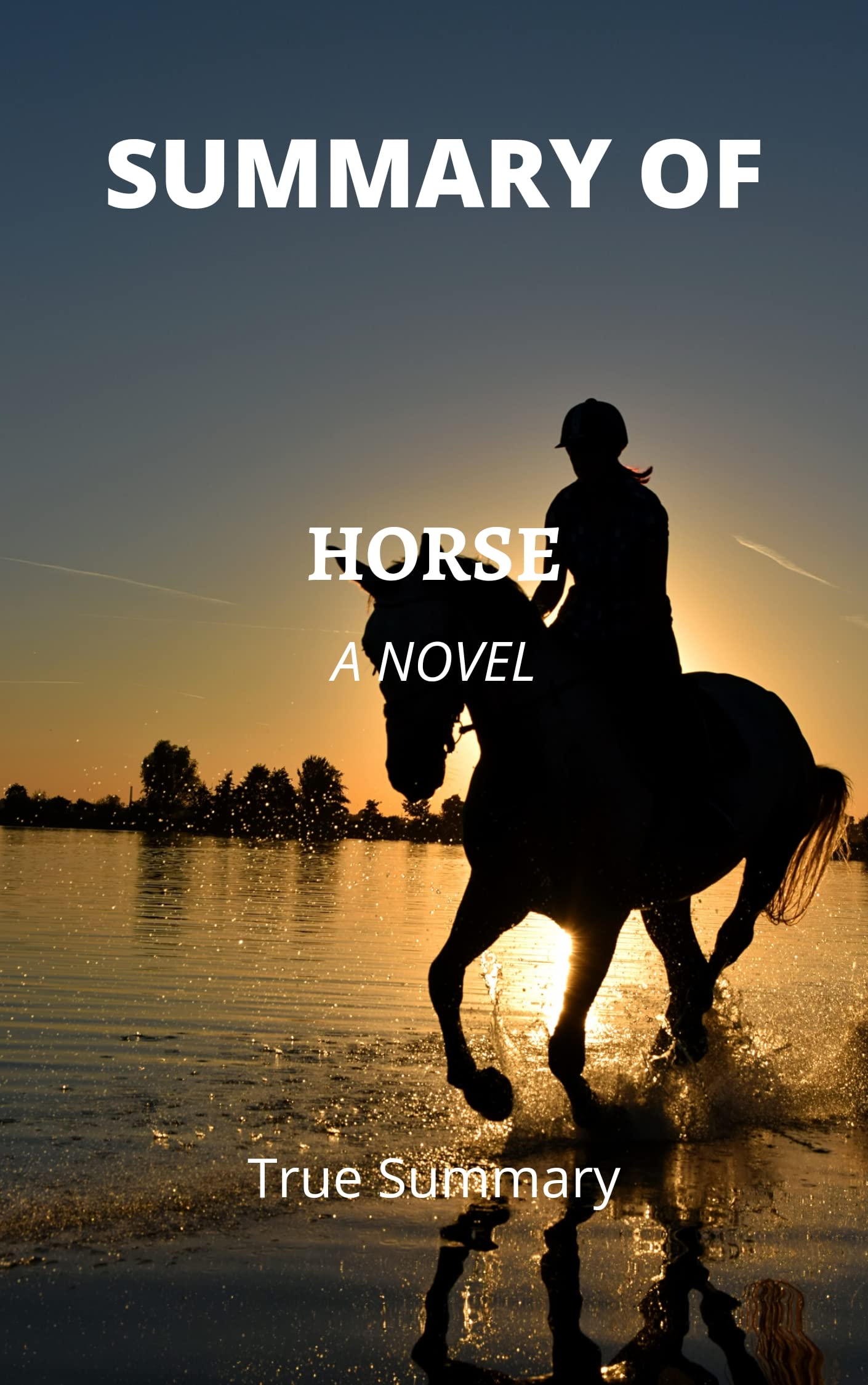 Summary of Horse by Geraldine Brooks: A Novel by Geraldine Brooks by