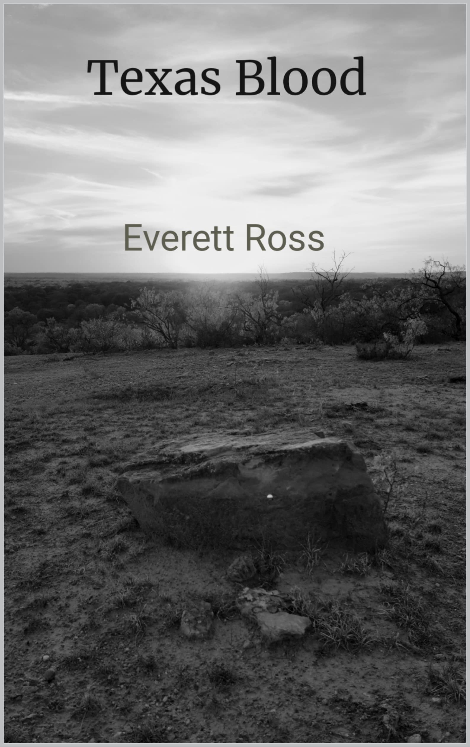 Texas Blood by Everett Ross Goodreads