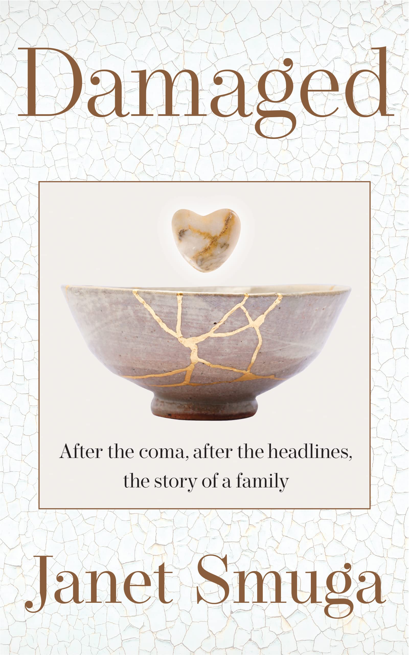 Damaged: After the coma, after the headlines, the story of a family
