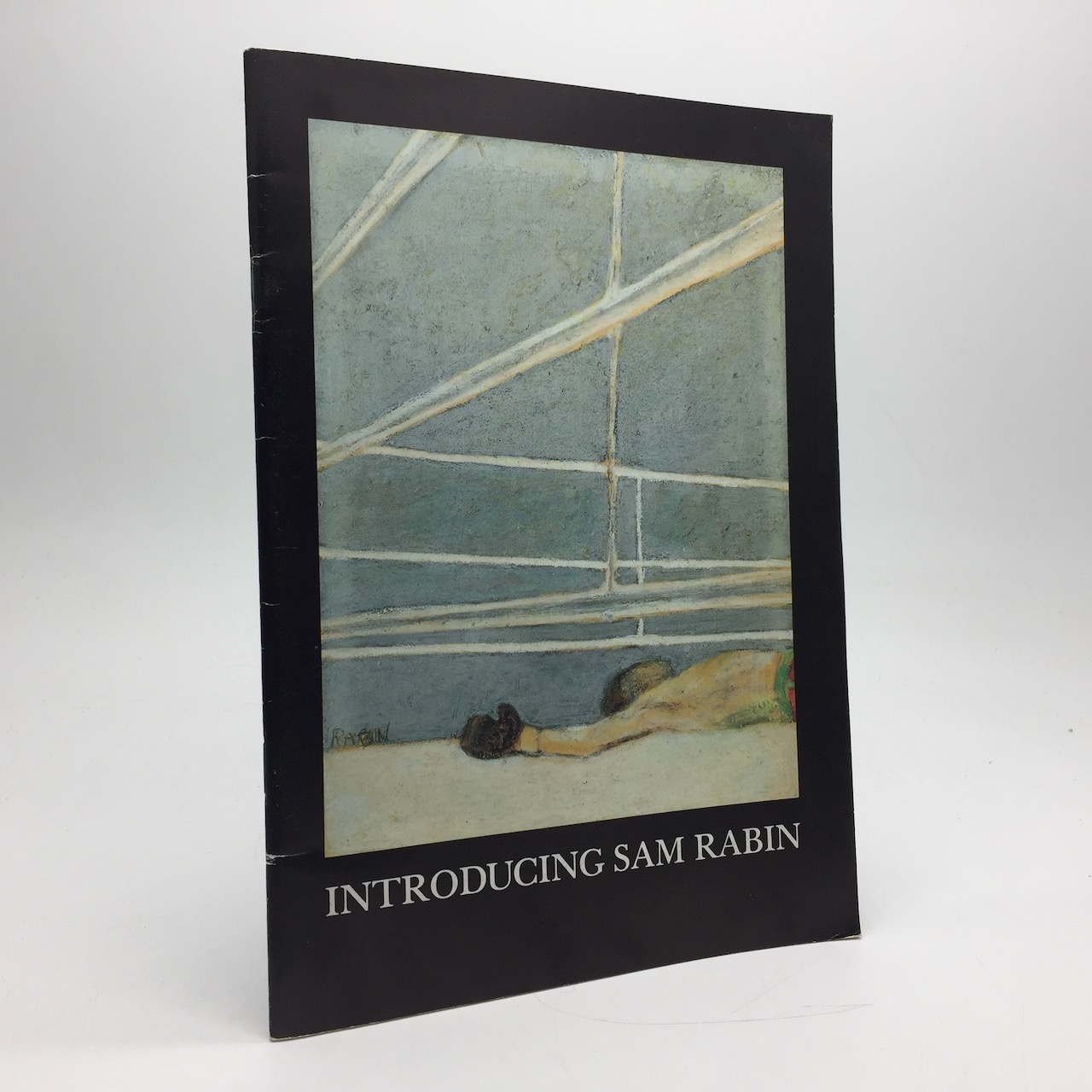 Introducing Sam Rabin by John Sheeran Goodreads