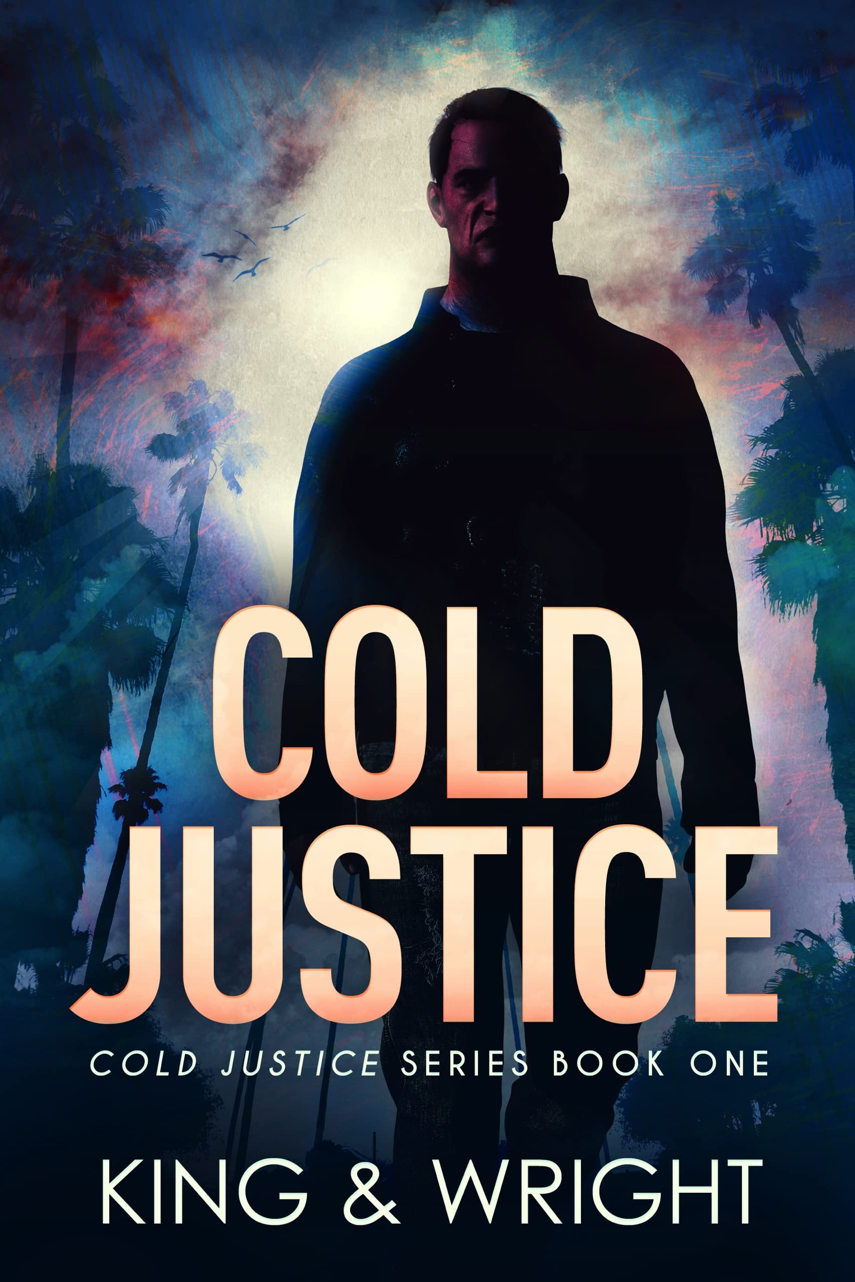Cold Vengeance book cover