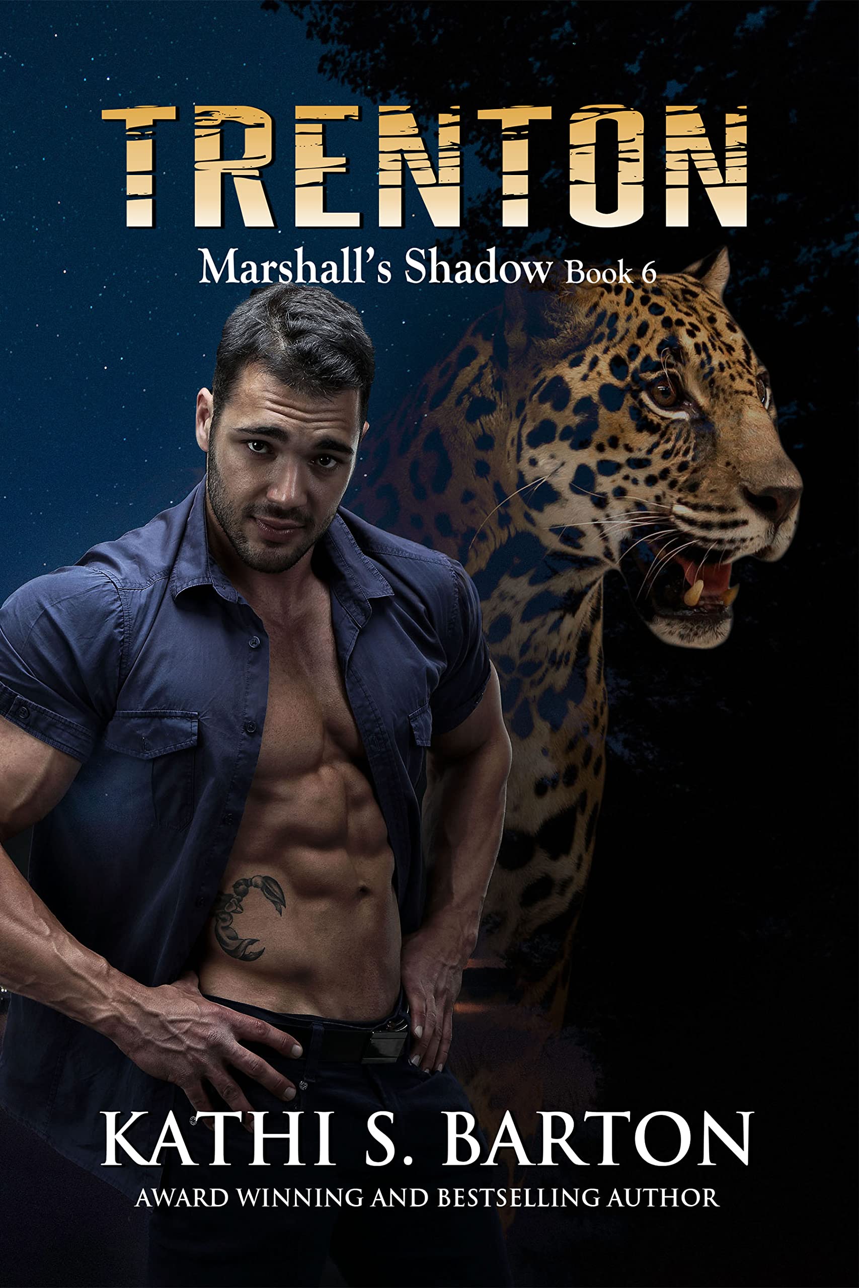 Marshall’s Shadow book cover 2