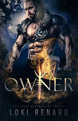 Owner book cover