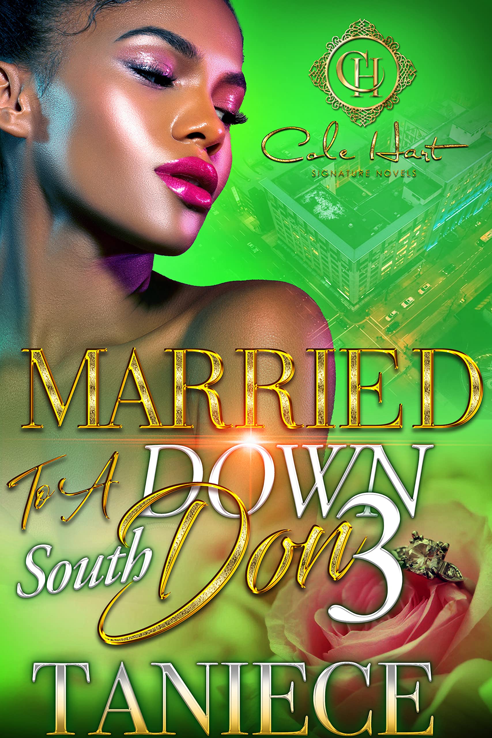 Married To A Down South Don 3 book cover