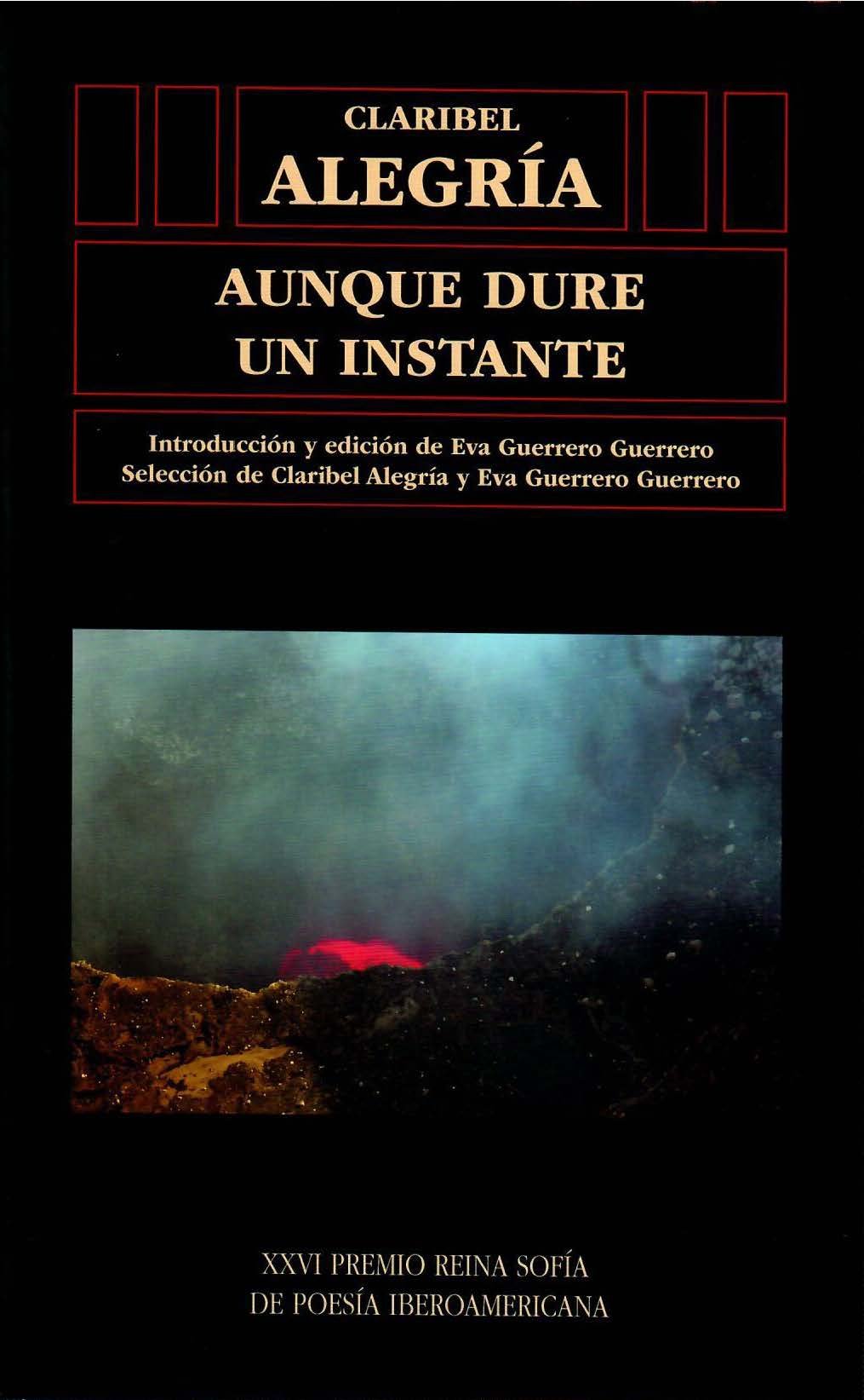 Aunque dure un instante book cover