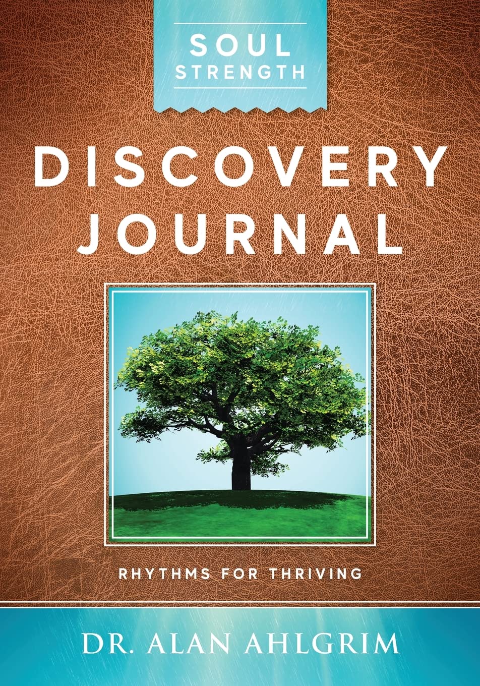 Soul Strength Discovery Journal Rhythms for Thriving by Alan Ahlgrim Goodreads