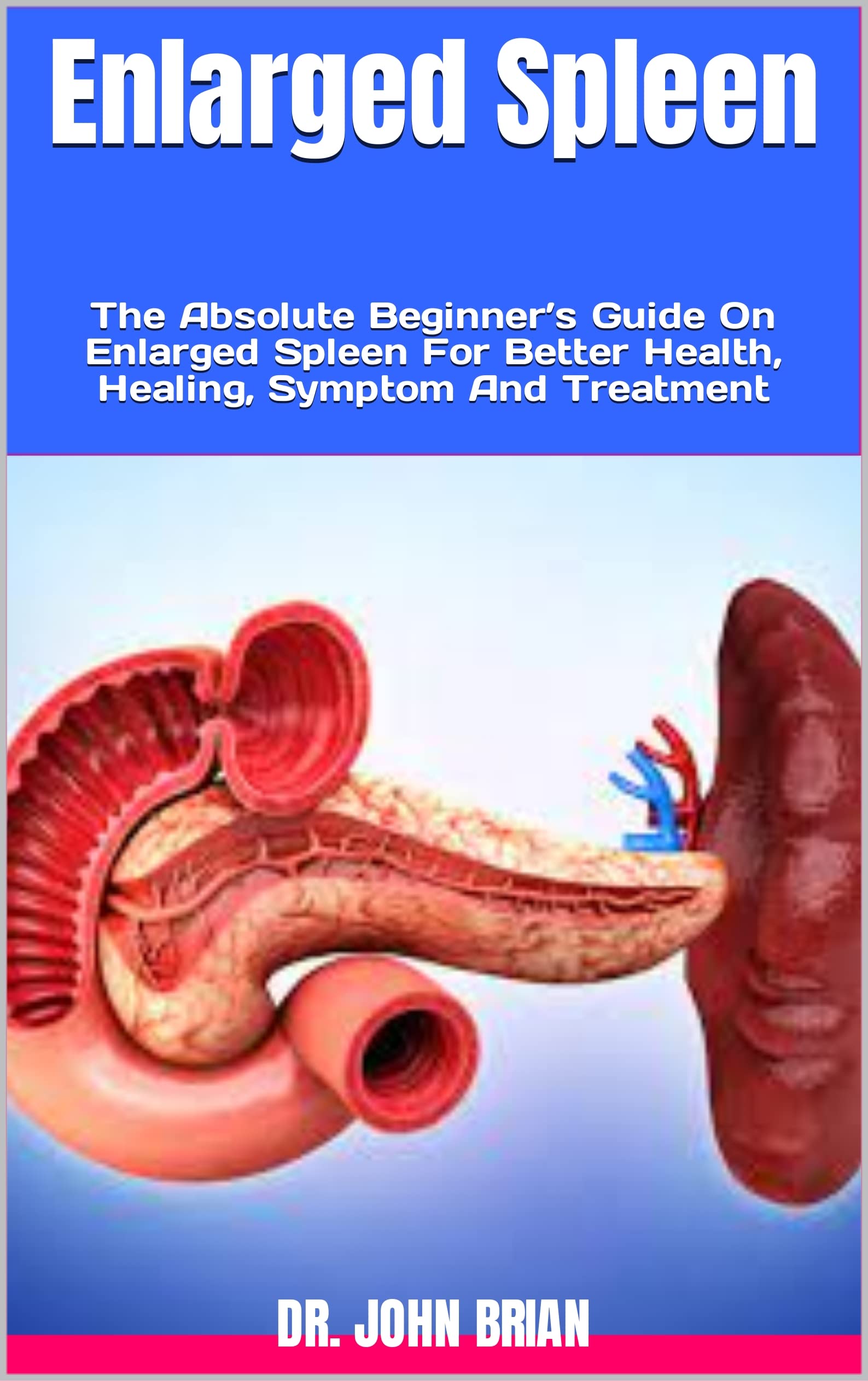 Enlarged Spleen The Absolute Beginner’s Guide On Enlarged Spleen For