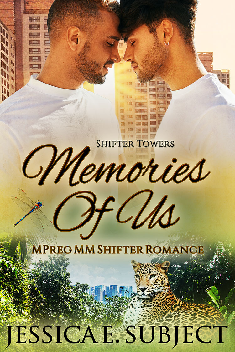 Memories of Us book cover