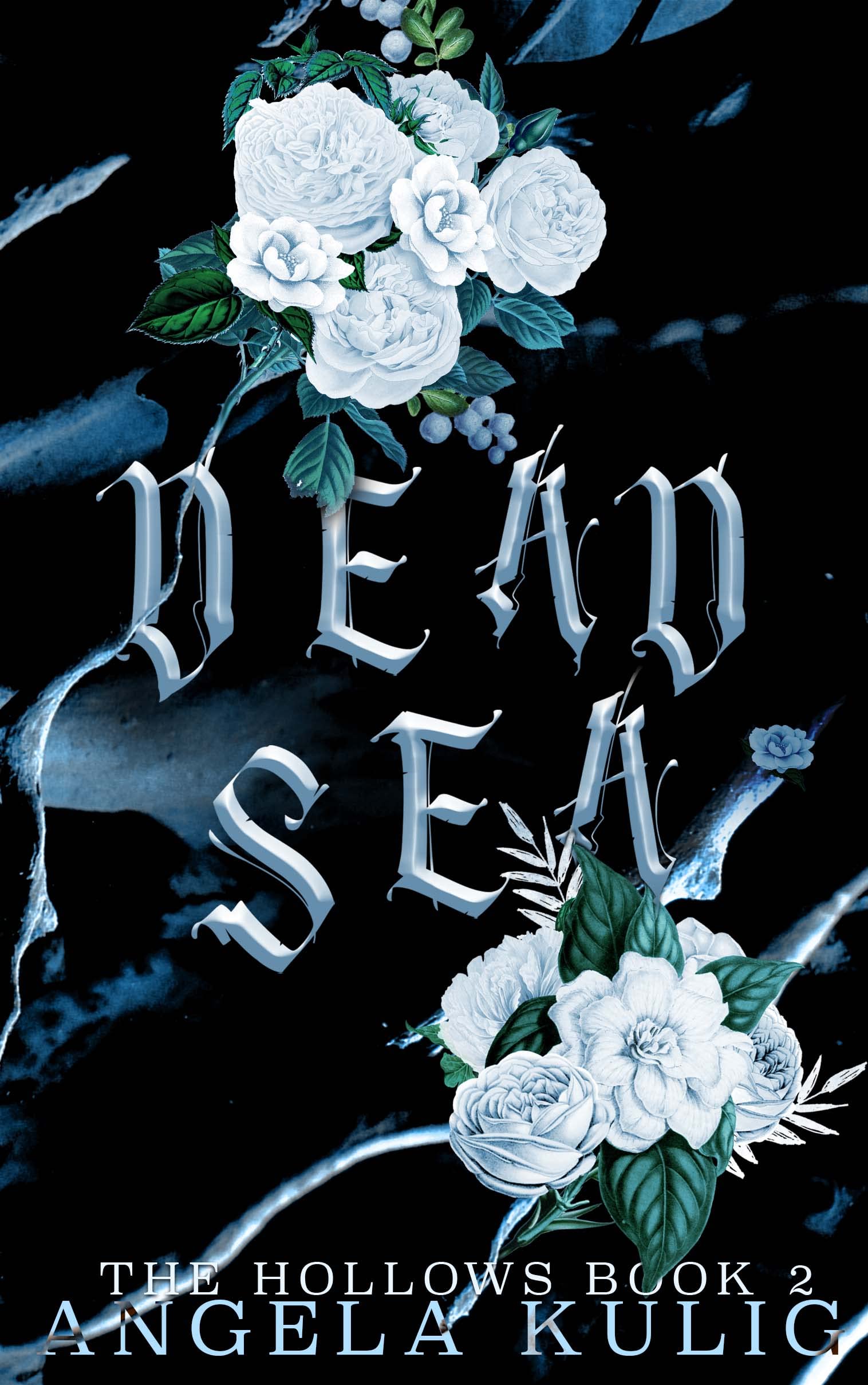 Dead Sea book cover