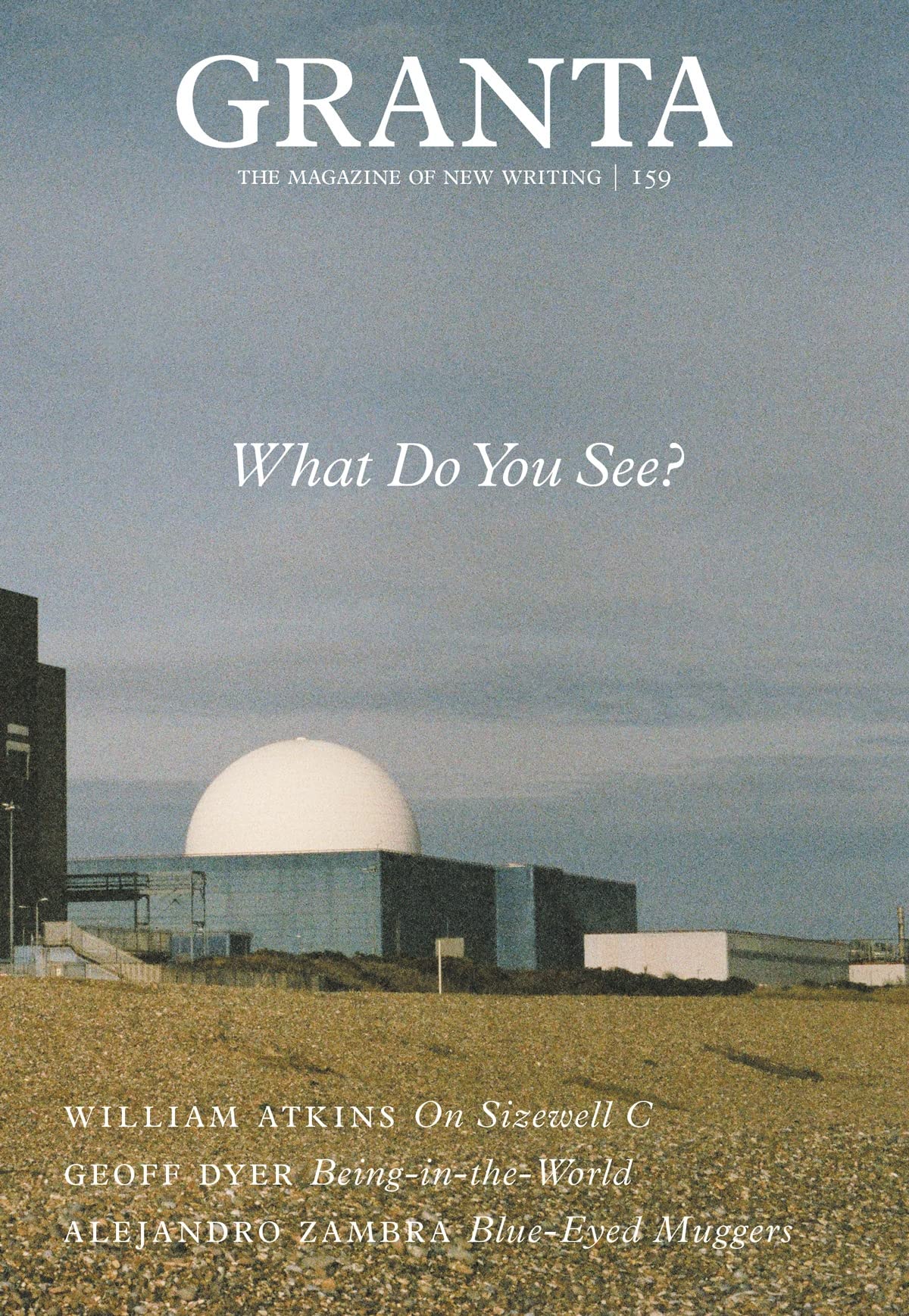 Granta 159 - What Do You See? book cover